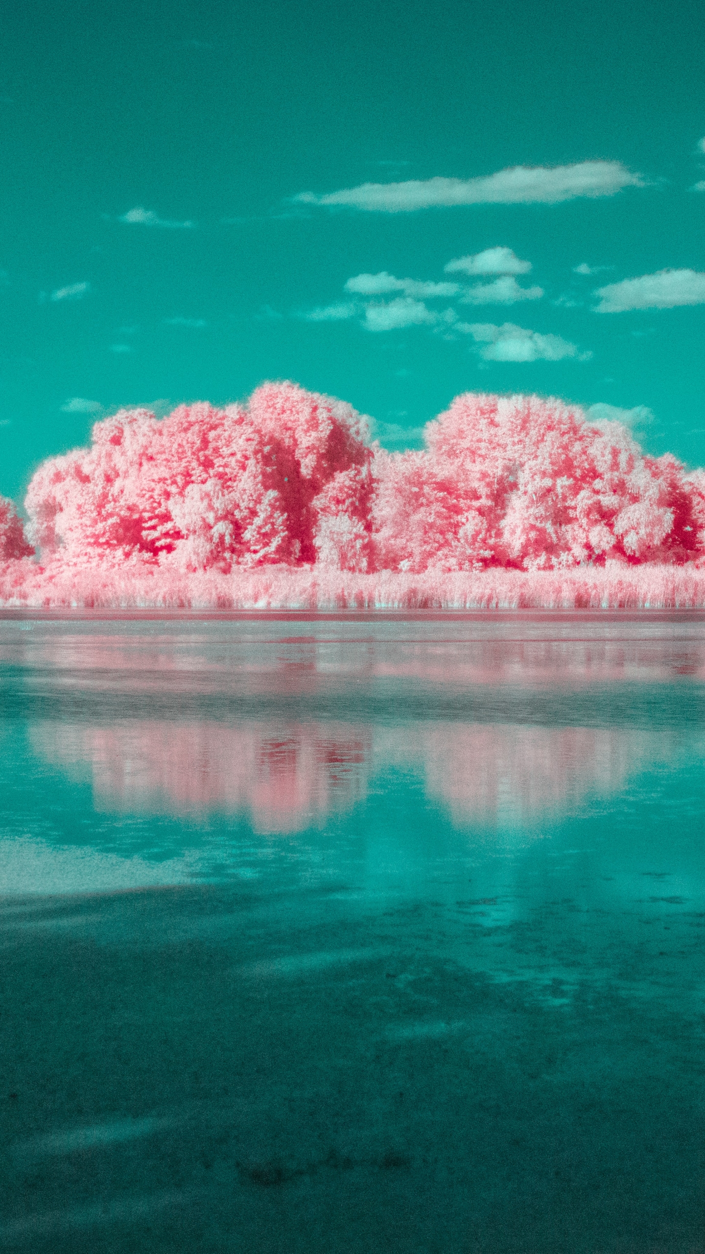 Wallpaper ID 576179  nature water lake winter clouds landscape  infrared 720P sky free download