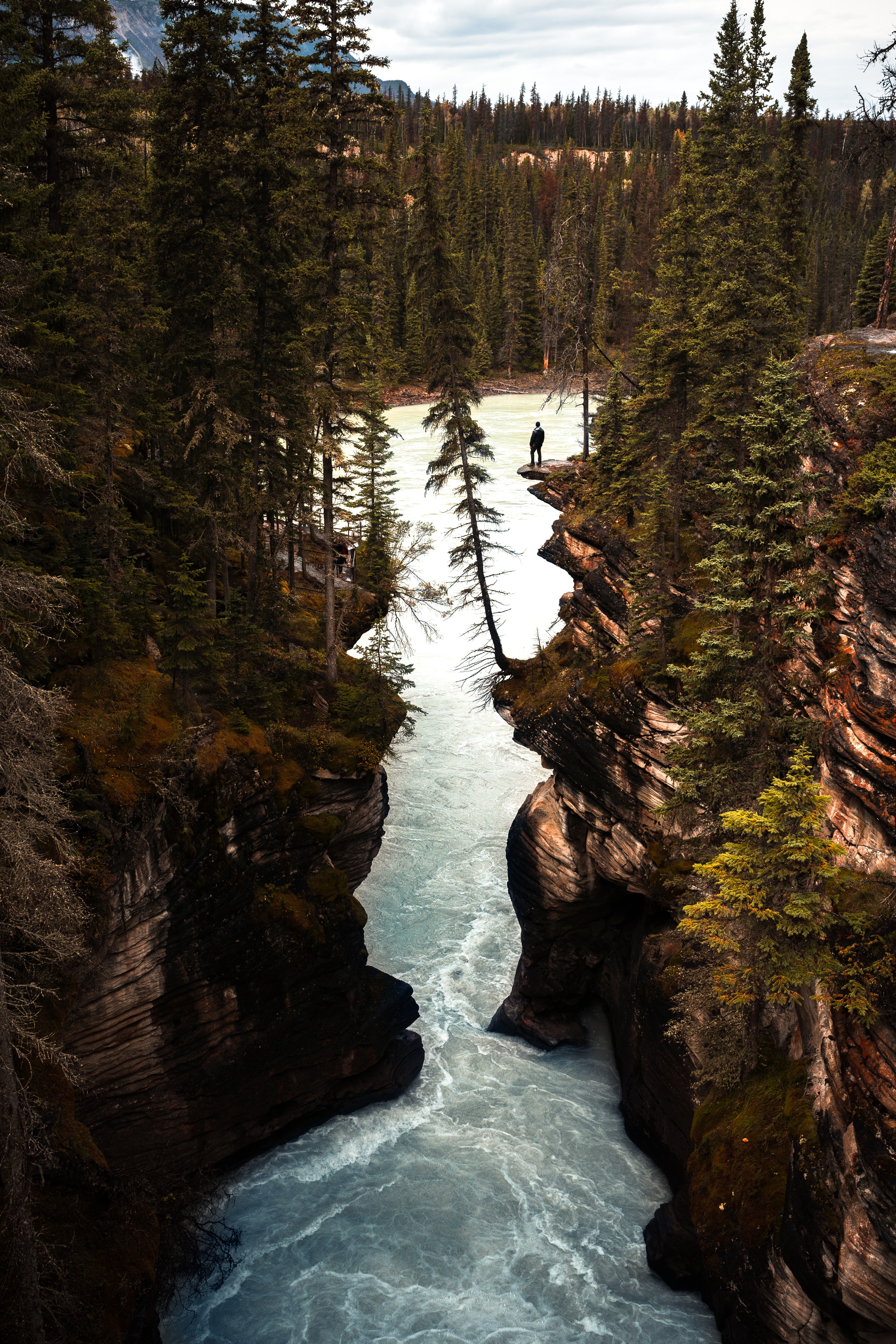 rivers, nature, trees, rocks, silhouette, break, precipice 1080p