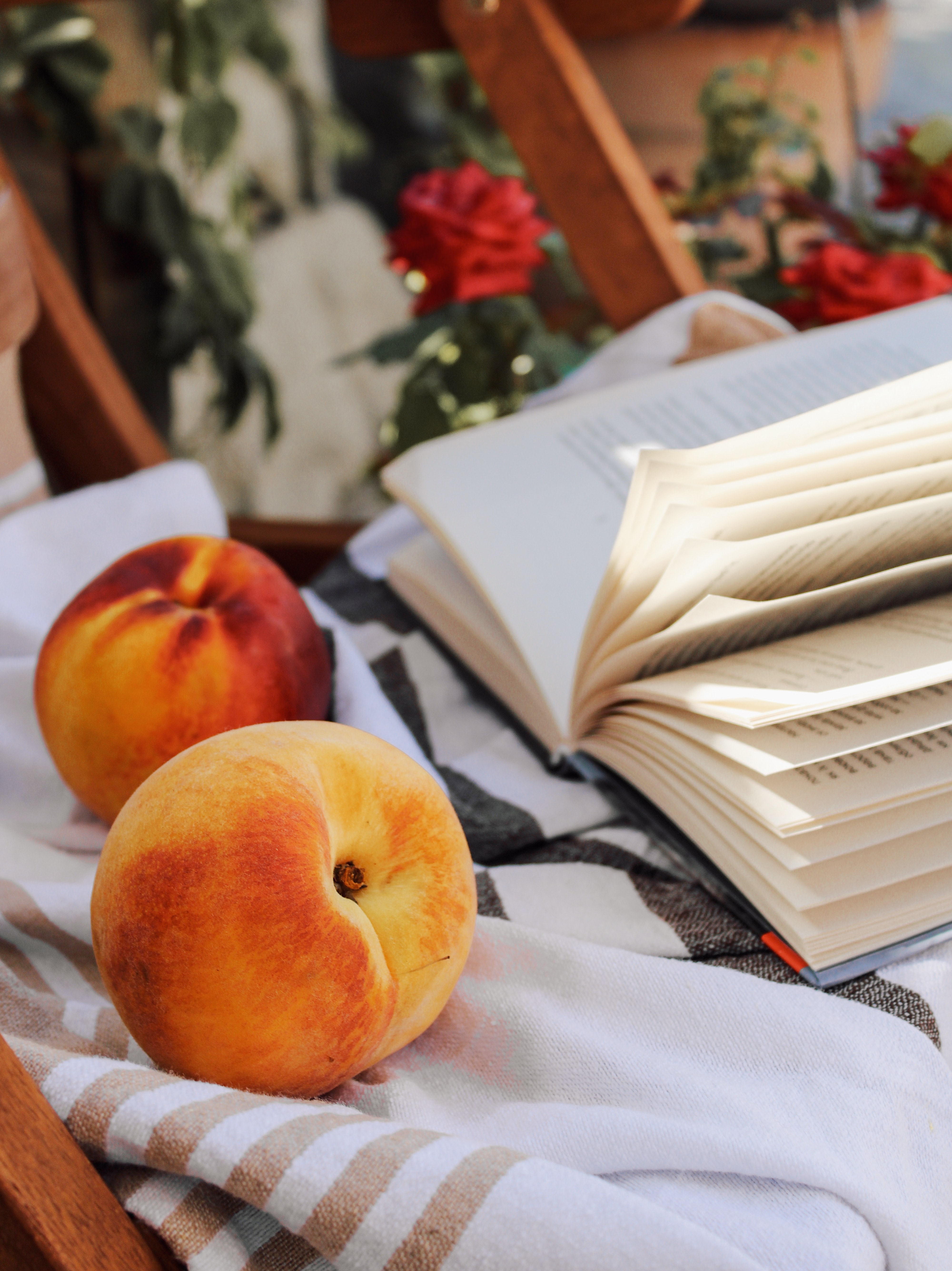 fruit, food, cloth, book, peach, pages, page