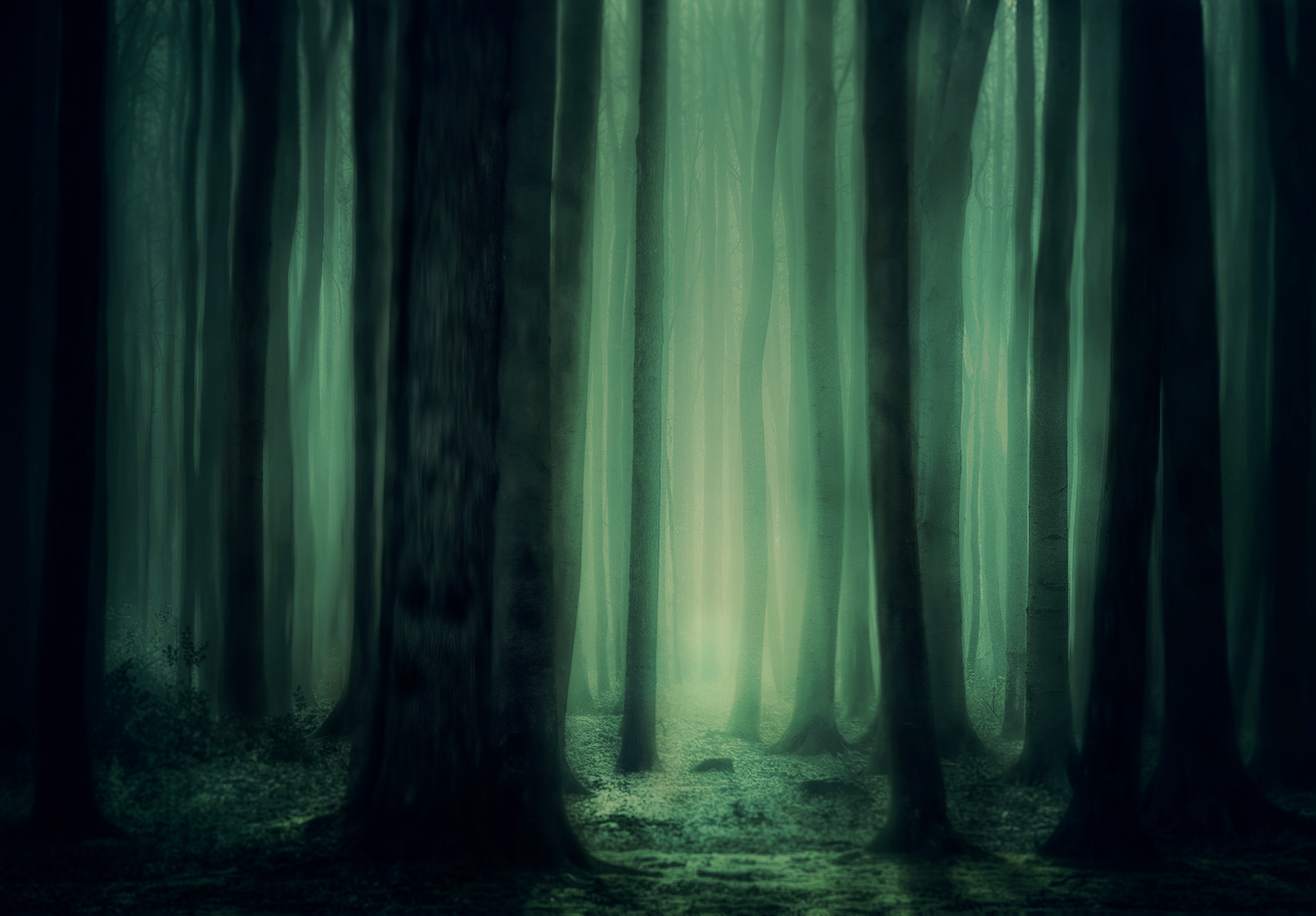 Девушка в темном лесу