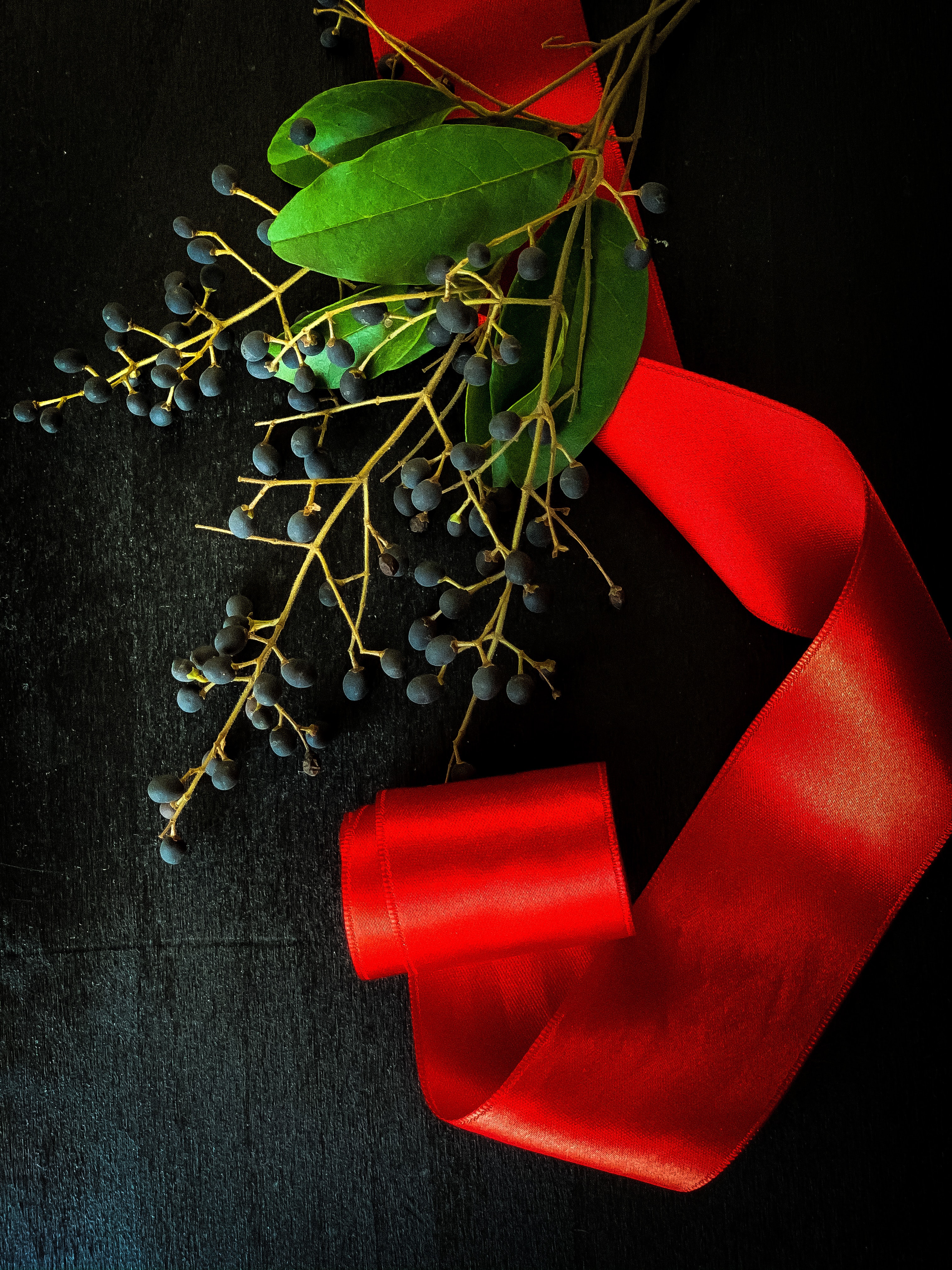 berries, red, miscellanea, miscellaneous, branch, tape