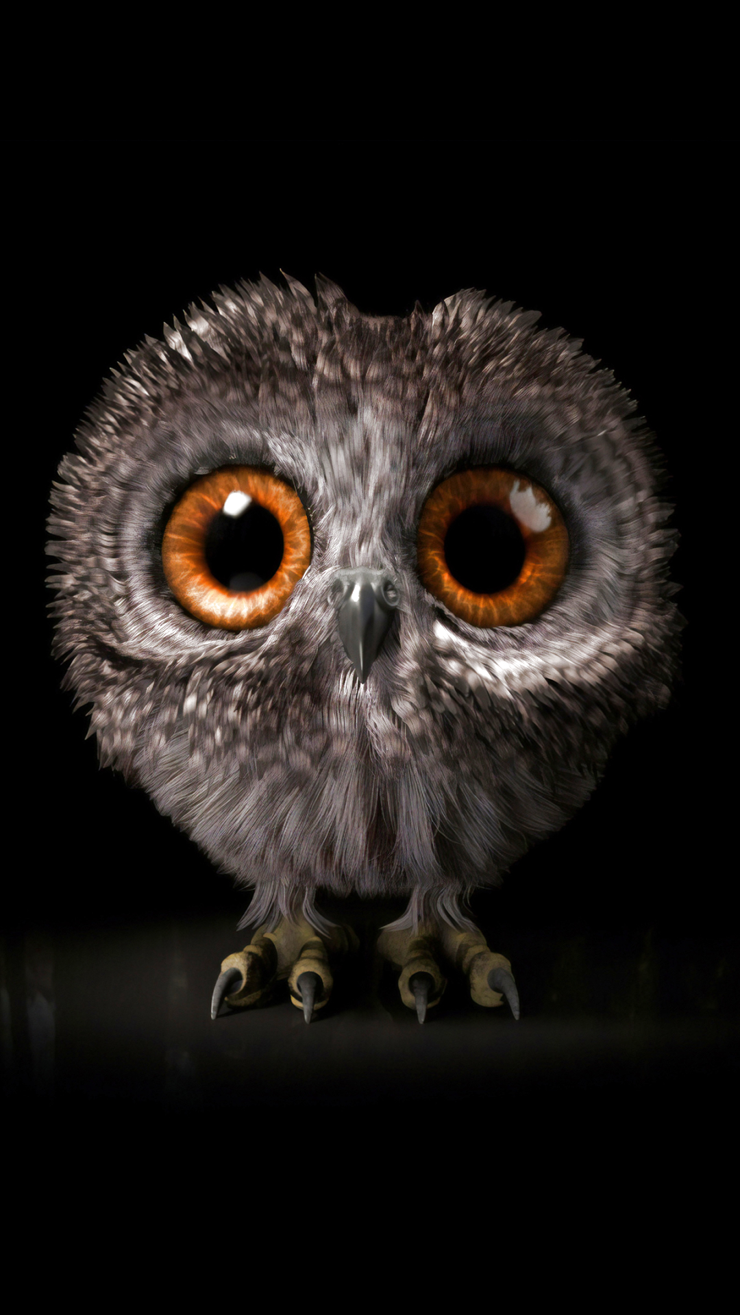 Images & Pictures  Owlet