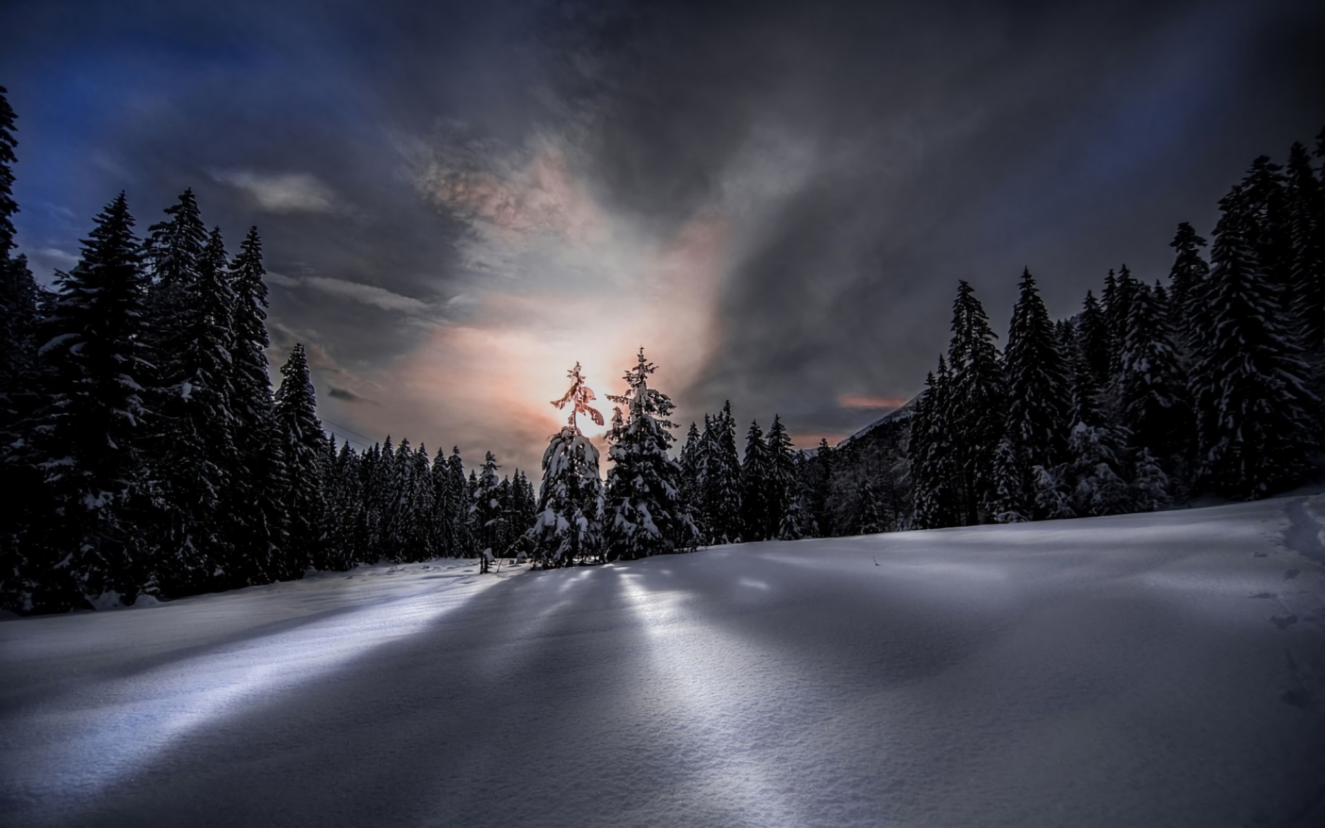 Снежный Лес Ночью