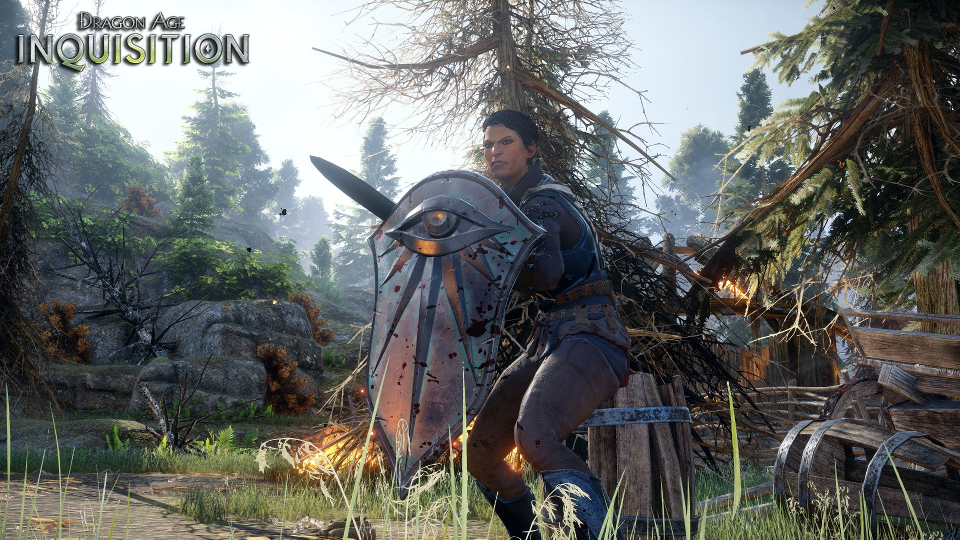 The witcher 3 dragon age inquisition фото 78