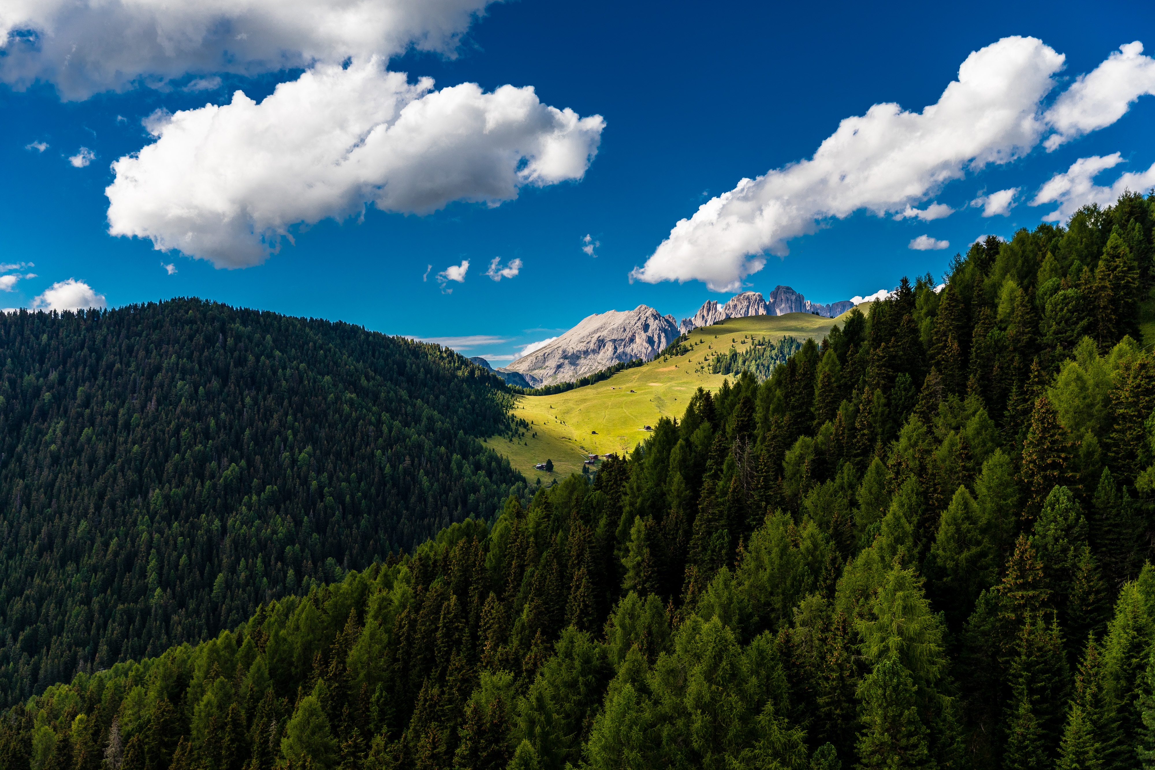 Laden Sie das Natur, Bäume, Clouds, Mountains, Sommer-Bild kostenlos auf Ihren PC-Desktop herunter