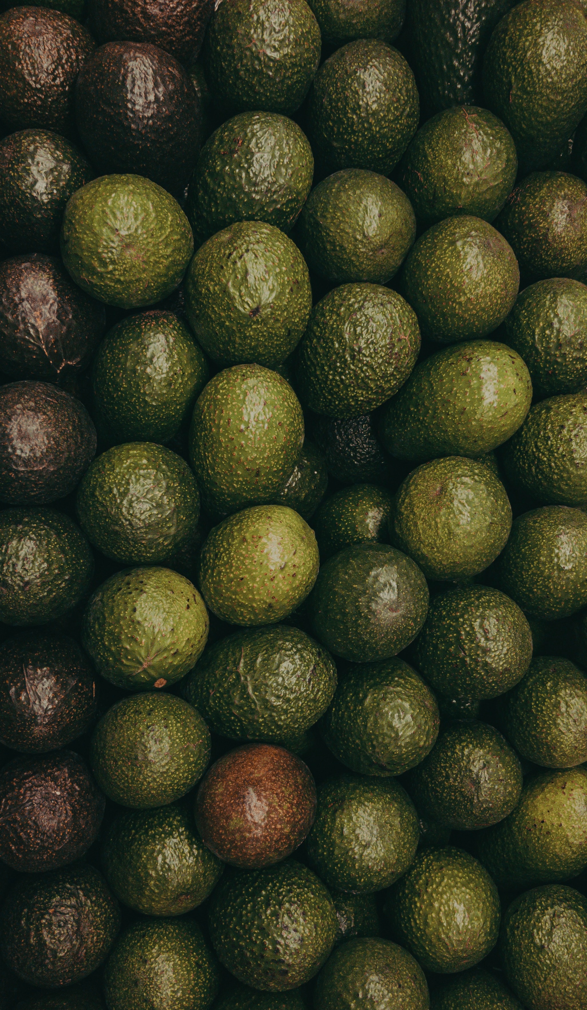 Download mobile wallpaper Avocado, Texture, Textures, Fruits for free.