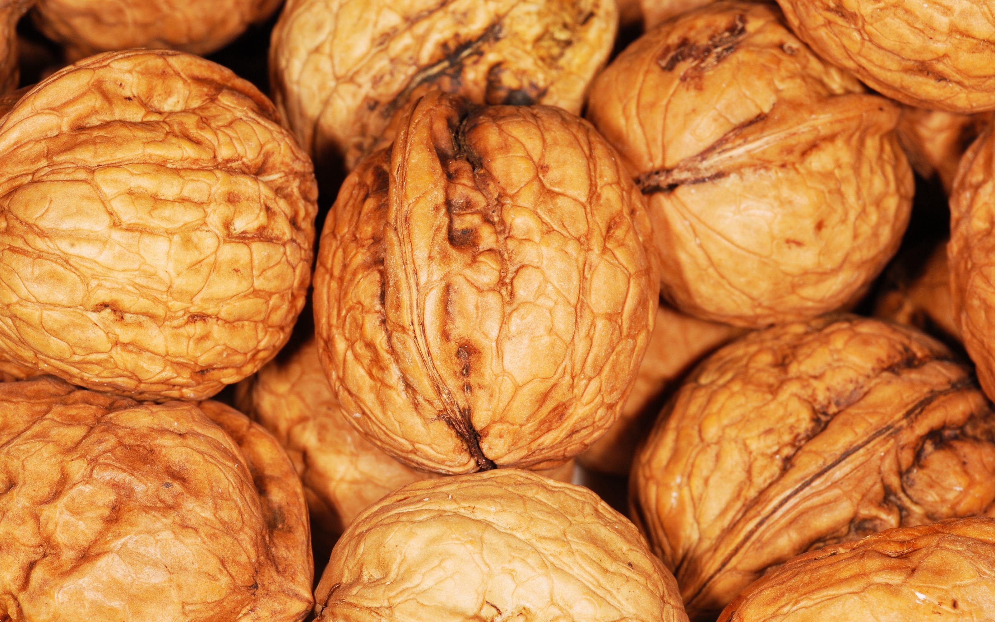Download mobile wallpaper Walnut, Nuts, Shell, Food for free.
