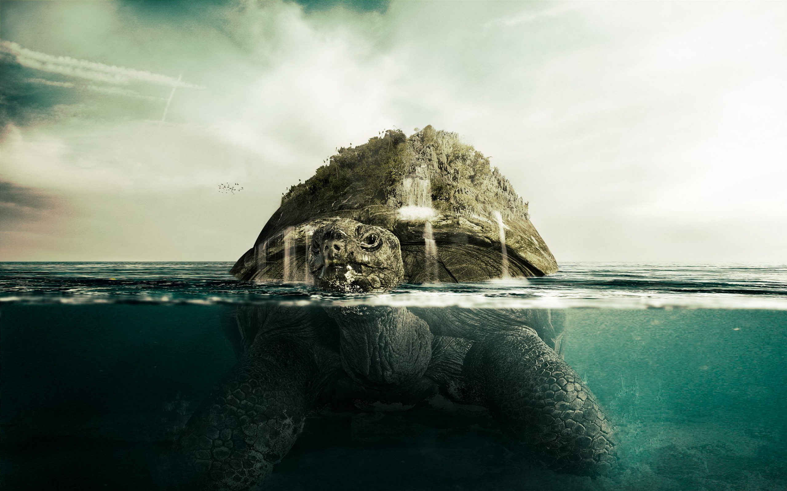 остров черепаха