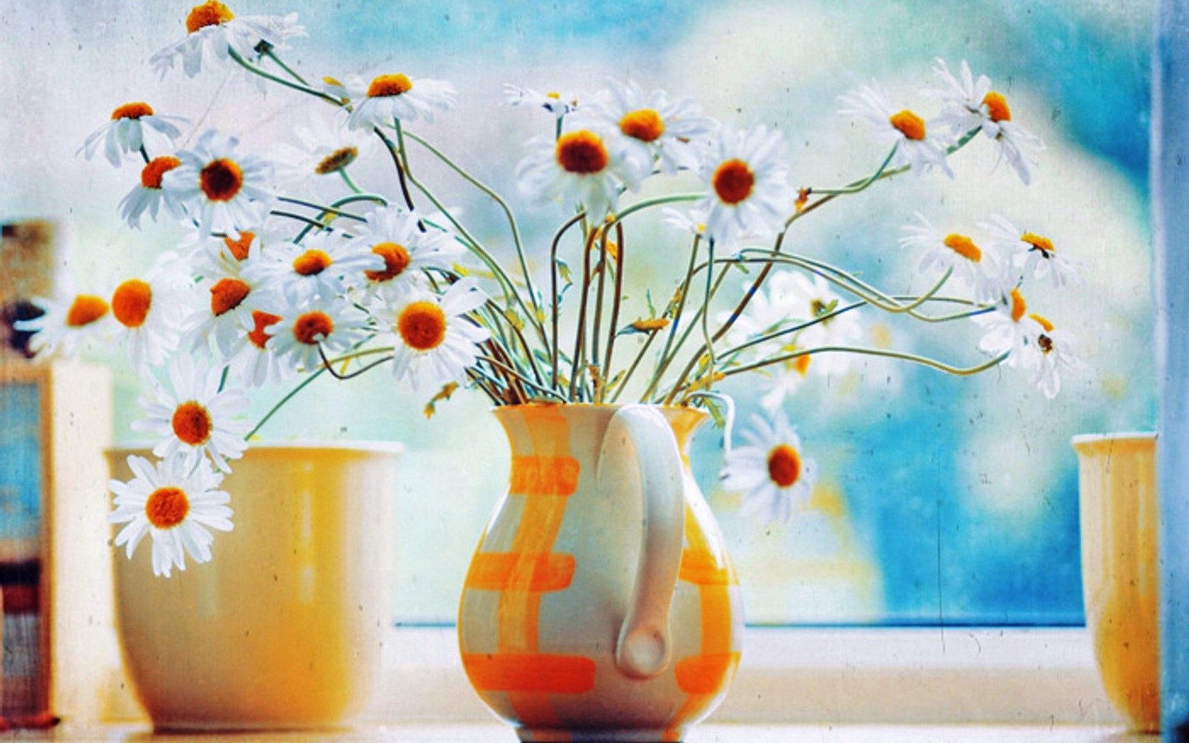 Laden Sie das Kamille, Strauß, Krug, Bouquet, Fenster, Blumen-Bild kostenlos auf Ihren PC-Desktop herunter