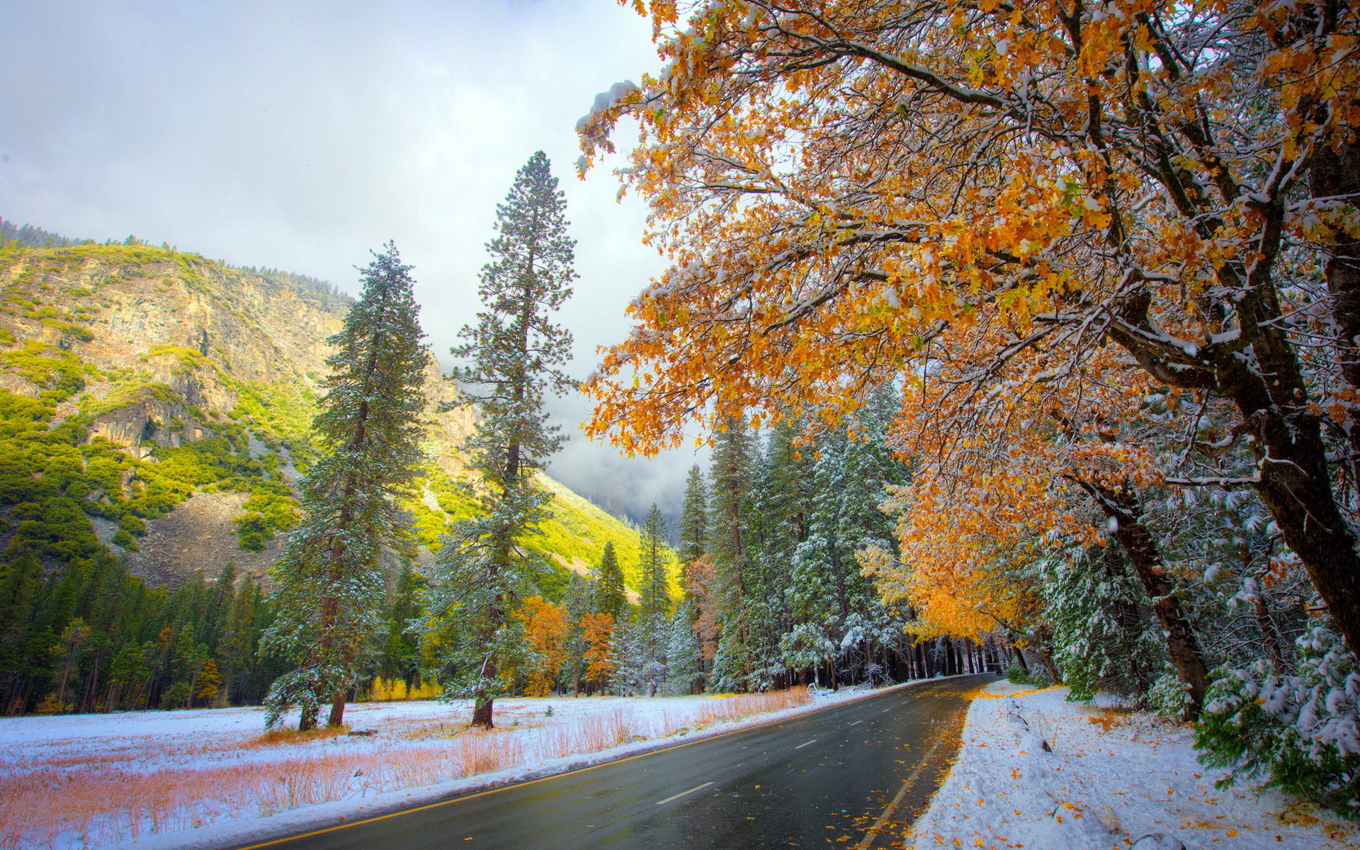 Скачать обои бесплатно Деревья, Снег, Горы, Пейзаж, Осень картинка на рабочий стол ПК