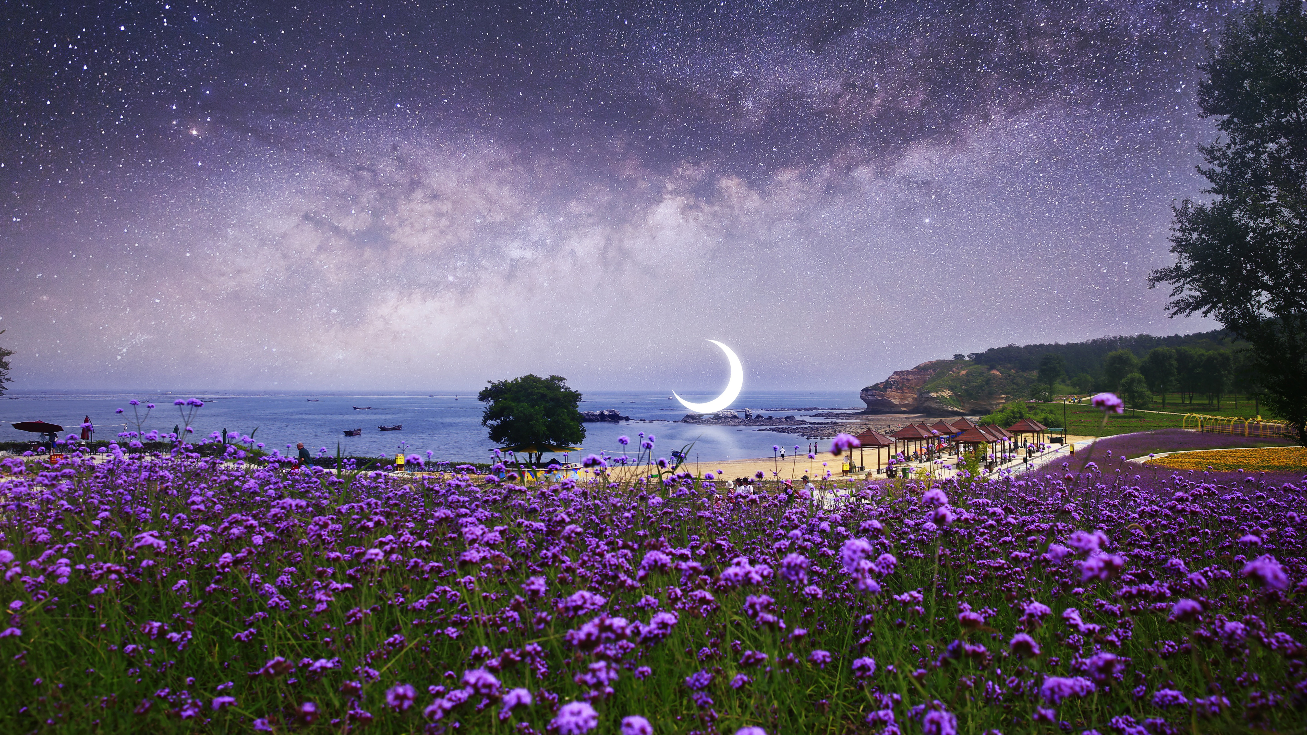 910701 скачать обои фиолетовый цветок, звездное небо, фотографии, манипуляции, пляж, полумесяц - заставки и картинки бесплатно