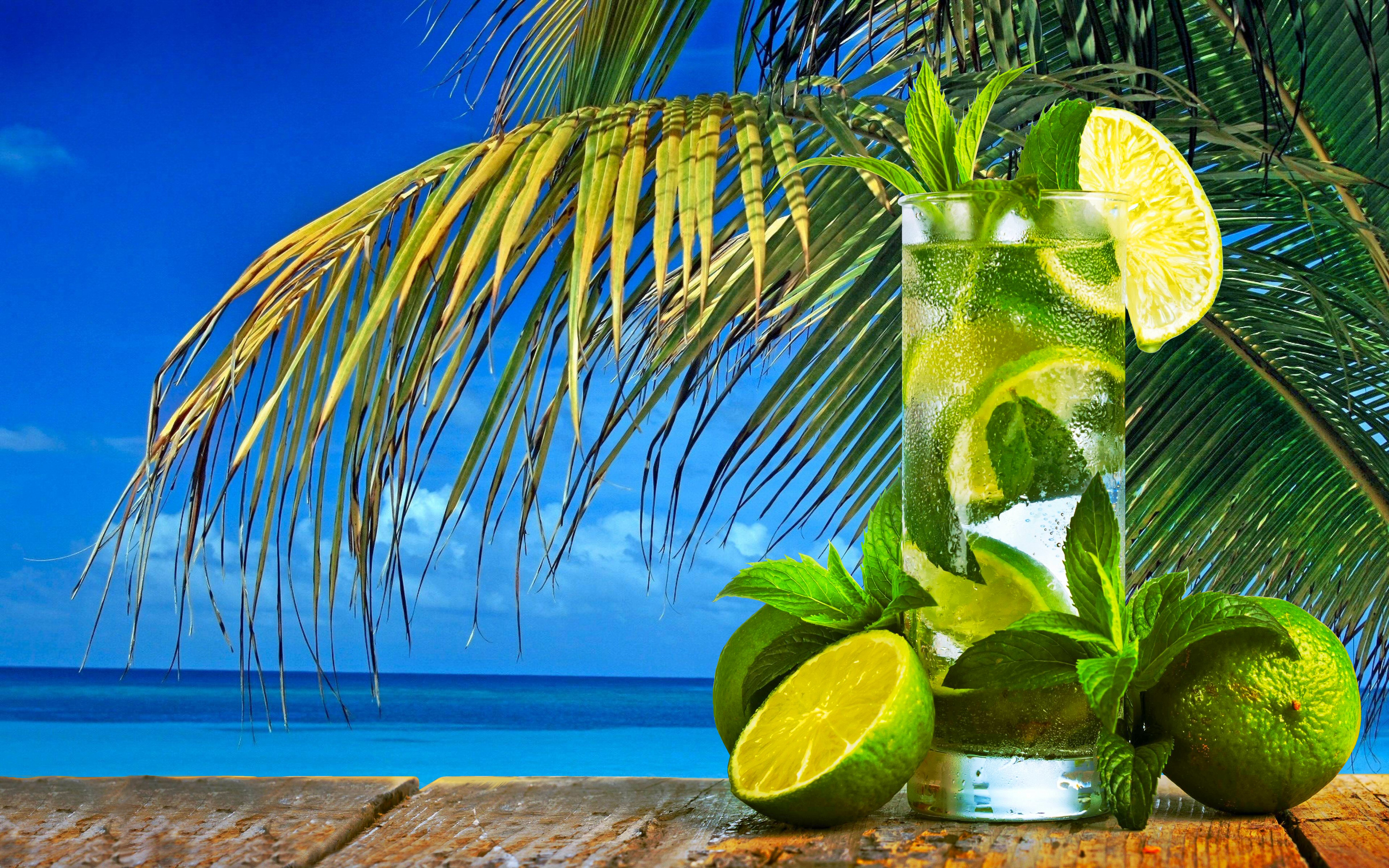 Download mobile wallpaper Food, Glass, Tropical, Cocktail, Mojito, Palm Tree for free.