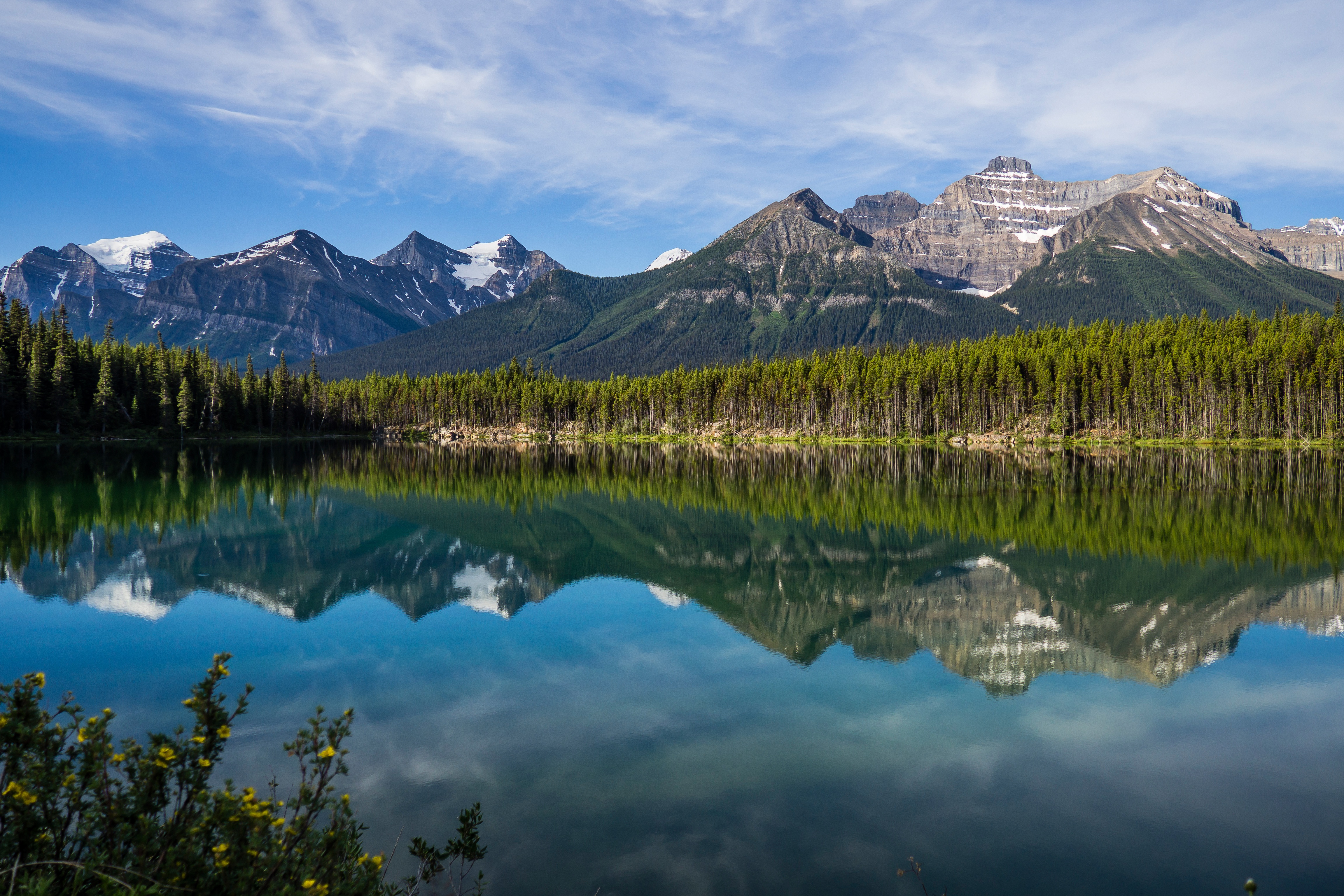 481180 Bild herunterladen erde/natur, banff nationalpark, kanada, wald, see, gebirge, natur, spiegelung, nationalpark - Hintergrundbilder und Bildschirmschoner kostenlos
