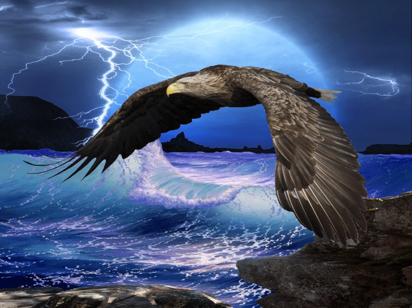 Летящий Орел над морем