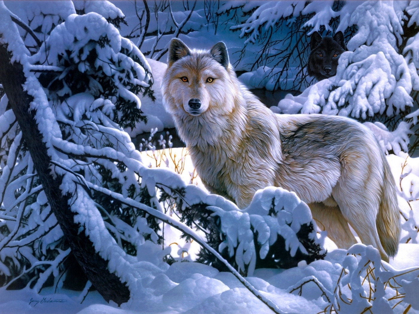 animals, pictures, blue, wolfs Full HD