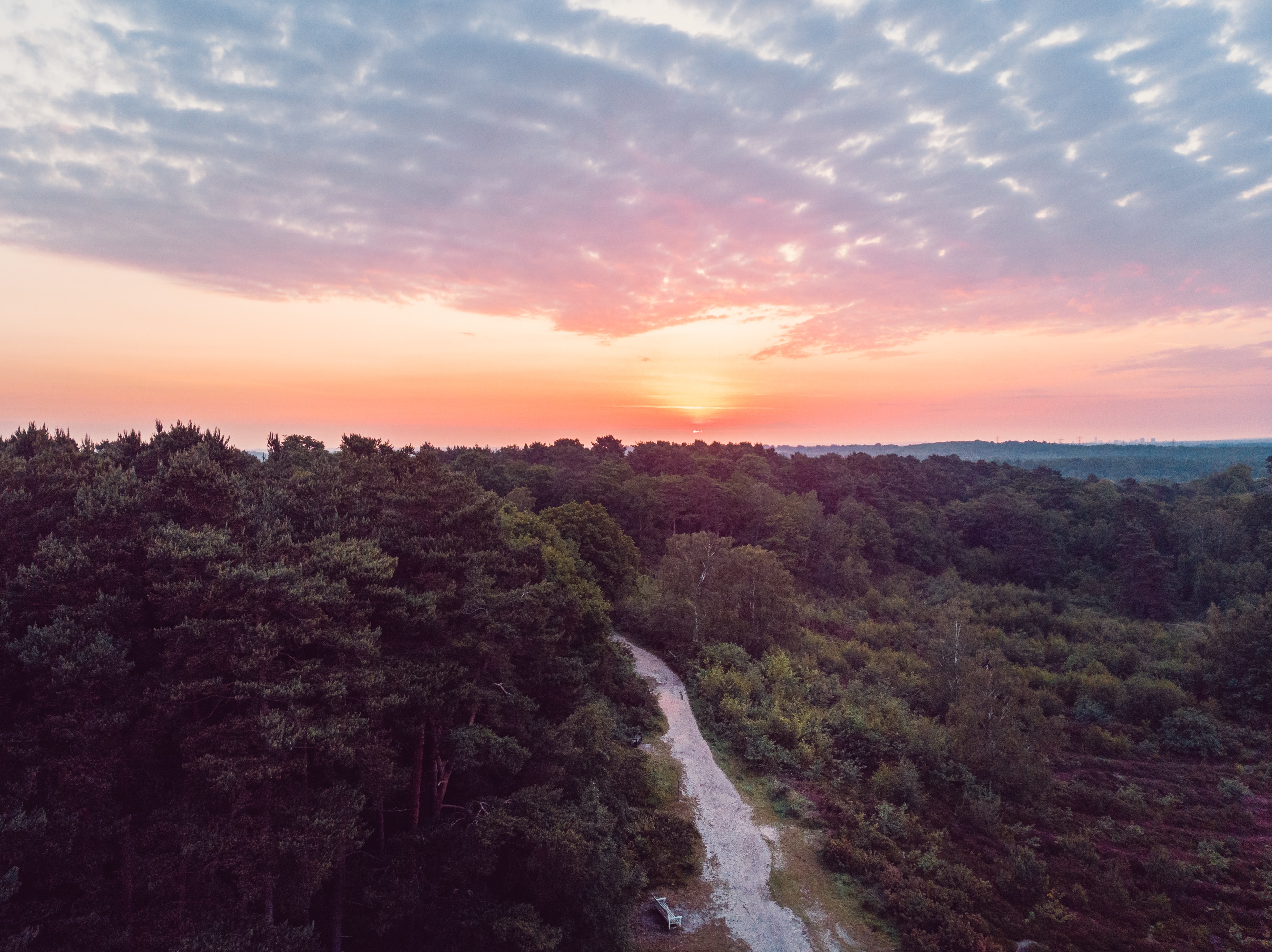 Download mobile wallpaper View From Above, Track, Horizon, Sunset, Forest, Nature for free.