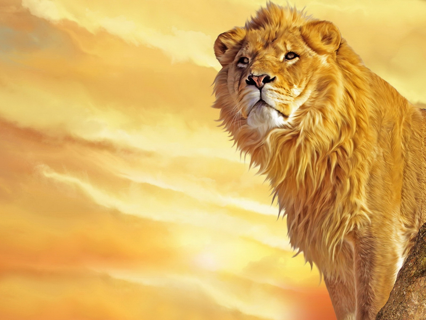 32578 descargar imagen leones, animales, amarillo: fondos de pantalla y protectores de pantalla gratis