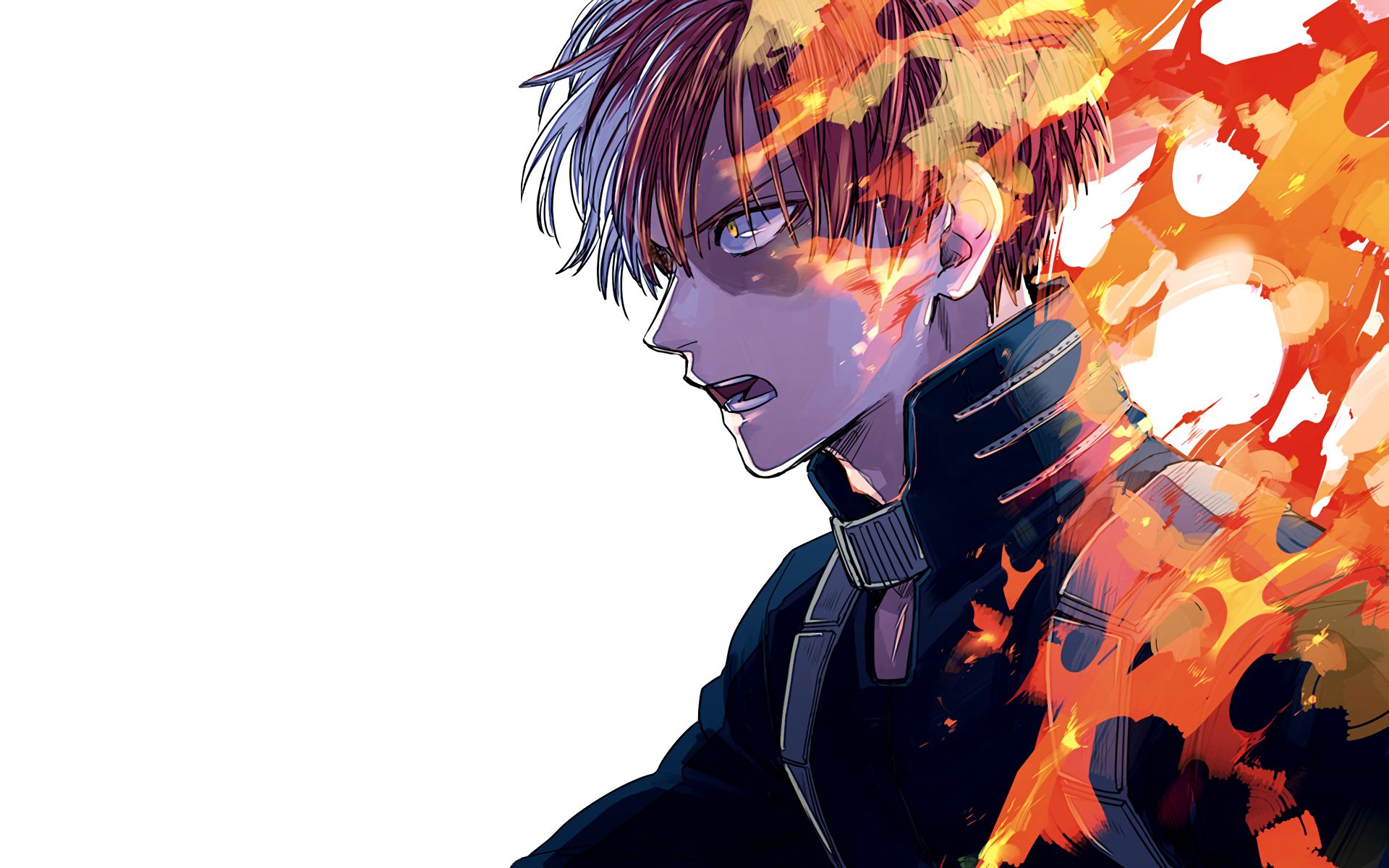 If You're Not Going To Include Shoto Todoroki In My Hero Academia, Just  Give Him His Own Show