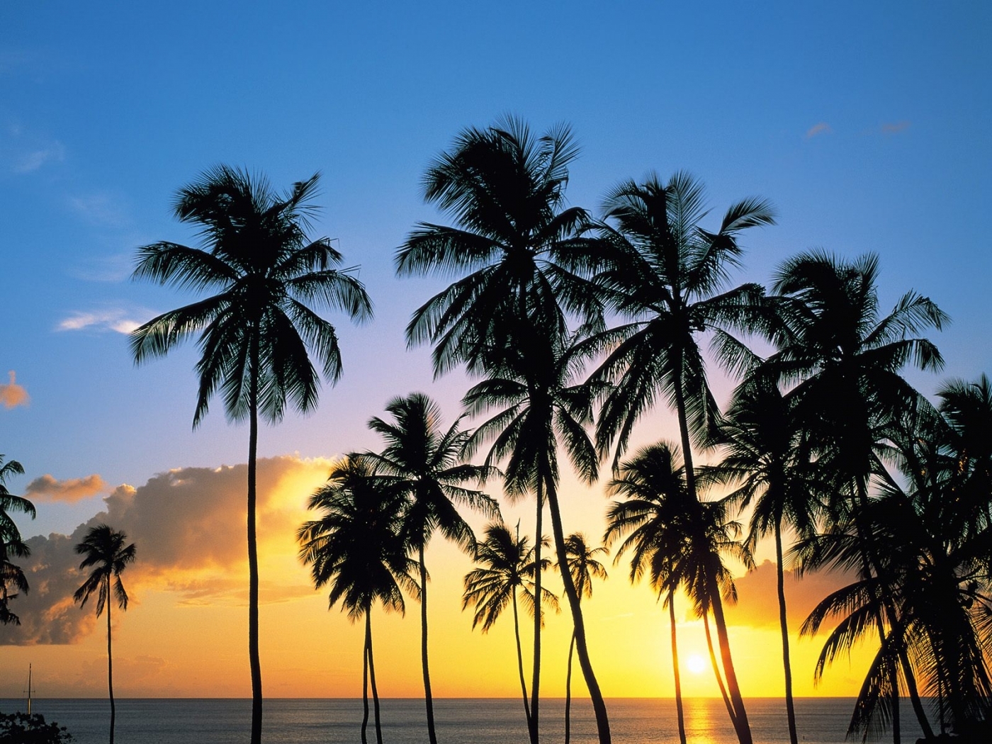 Download mobile wallpaper Landscape, Sea, Palms, Sunset, Trees for free.