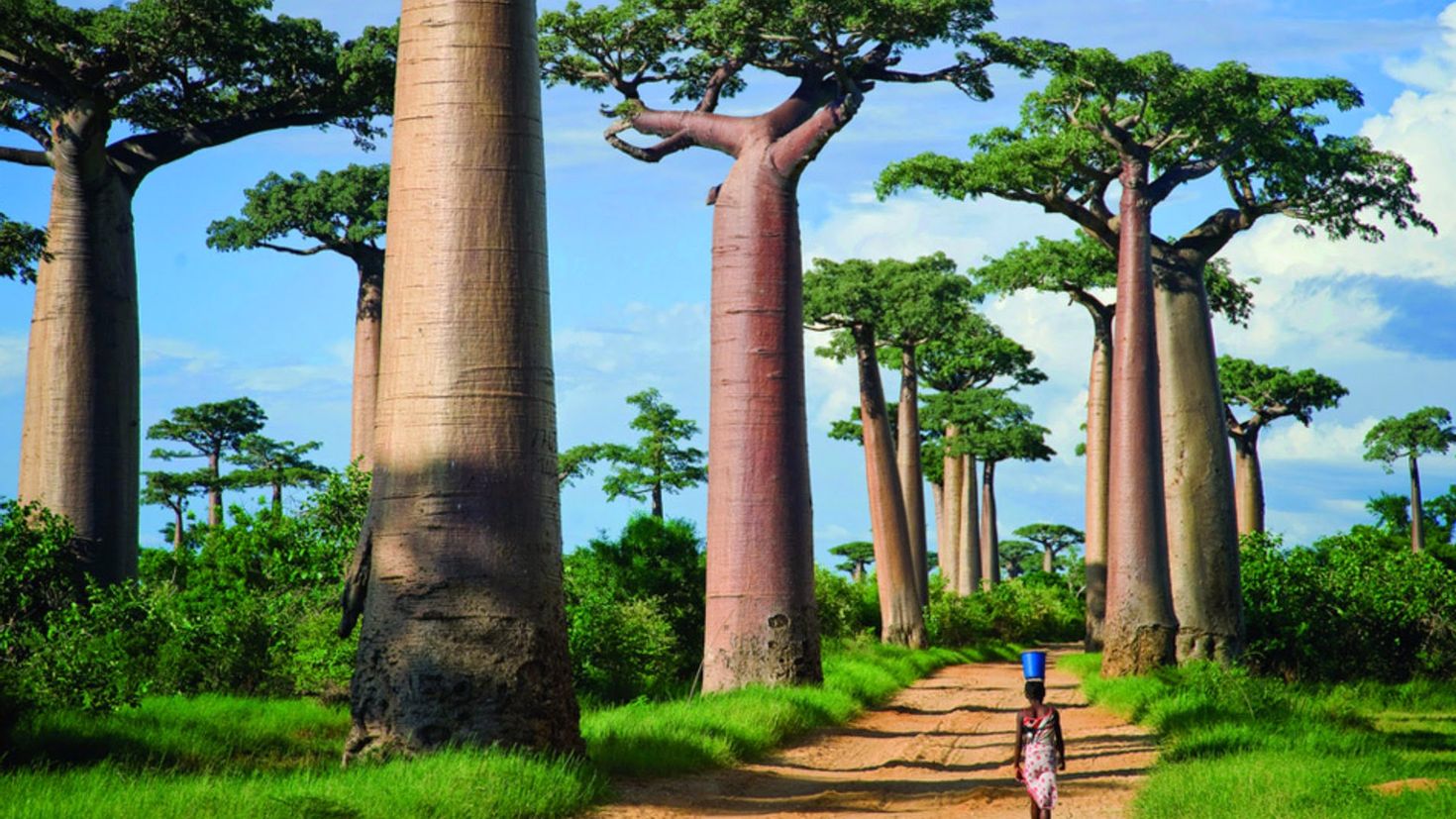 Республика Мадагаскар достопримечательности