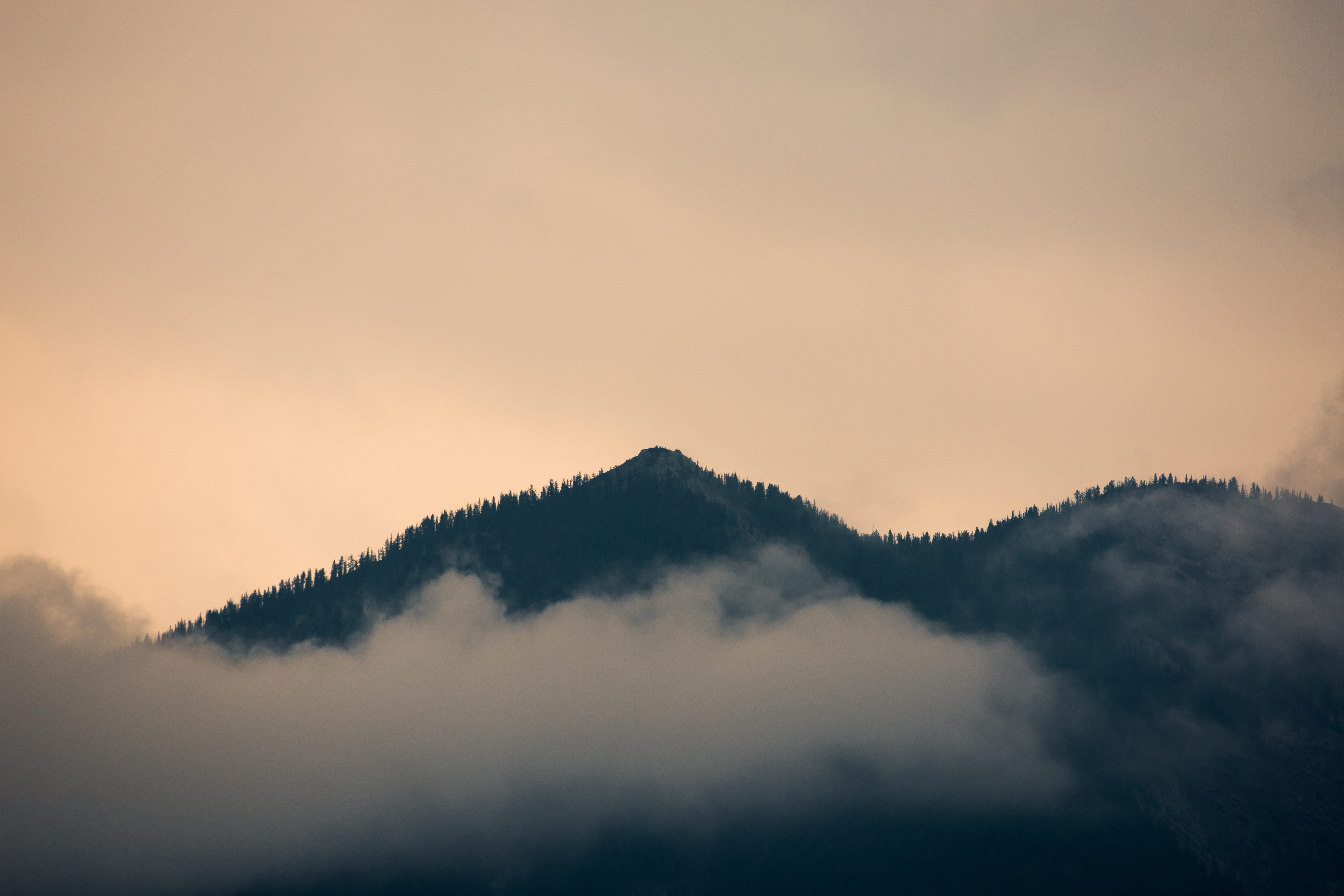 Laden Sie das Hügel, Hill, Natur, Nebel, Wald-Bild kostenlos auf Ihren PC-Desktop herunter