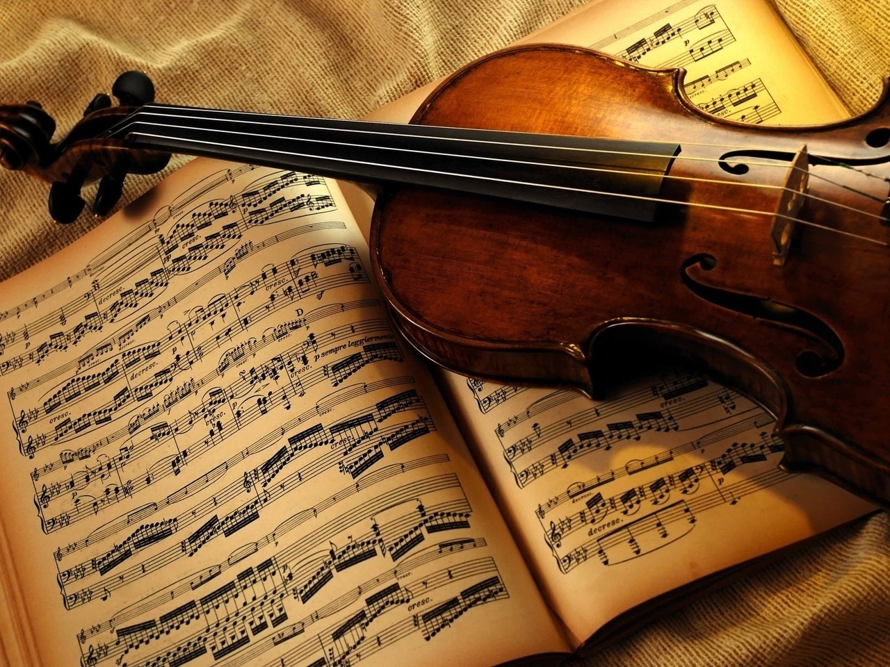 music, objects, violins, orange