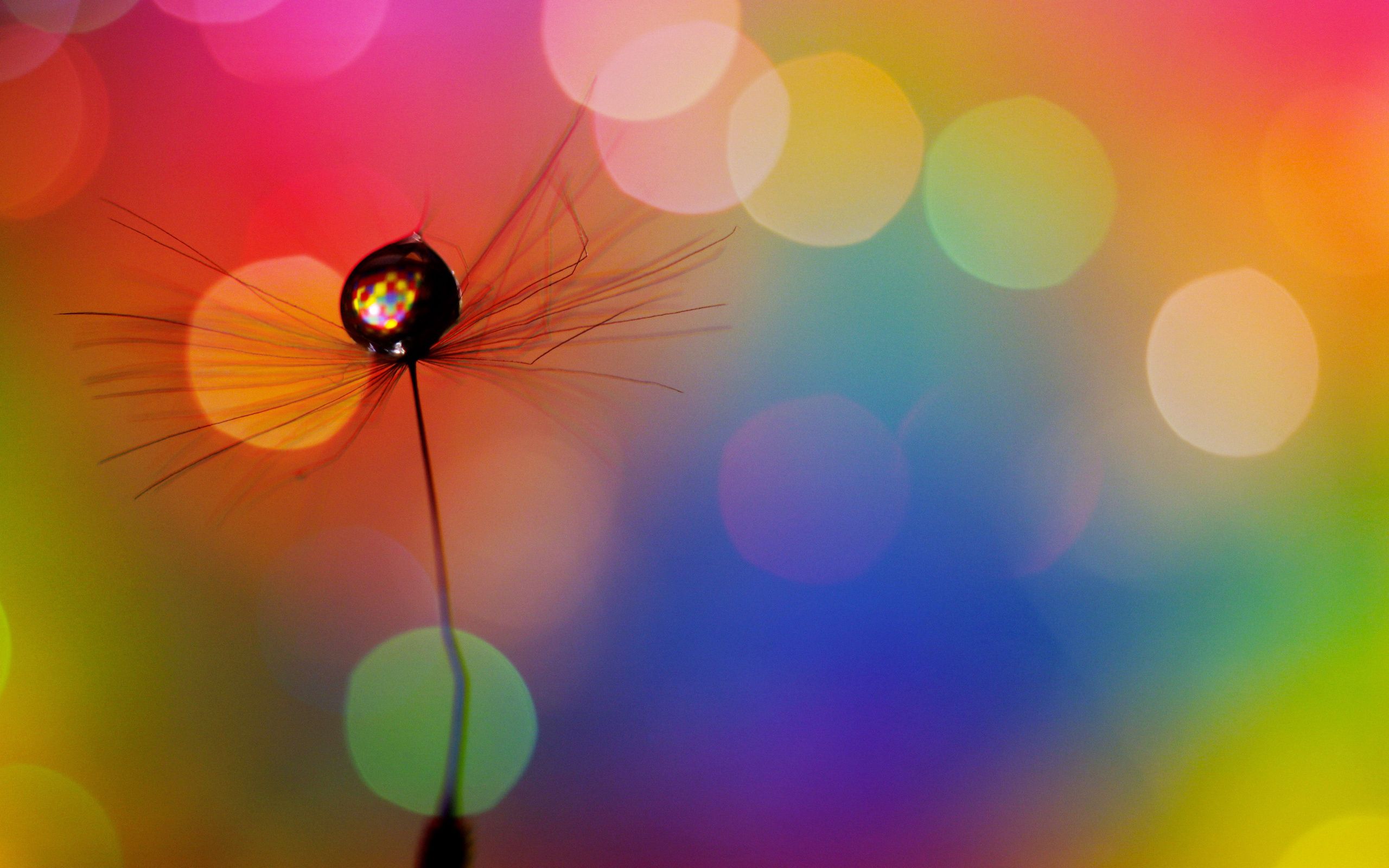 Download mobile wallpaper Drop, Spots, Stains, Motley, Multicolored, Dandelion, Abstract for free.