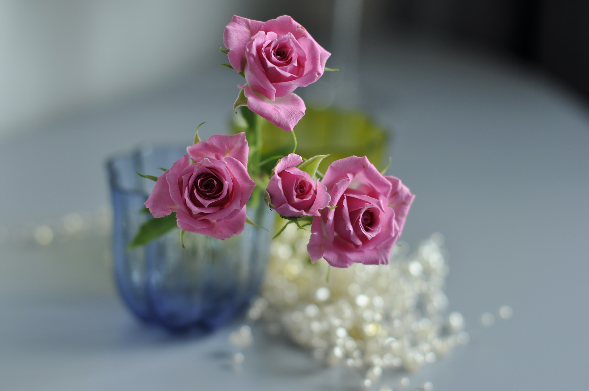 51097 скачать обои размытость, цветы, ваза, макро, роза - заставки и картинки бесплатно
