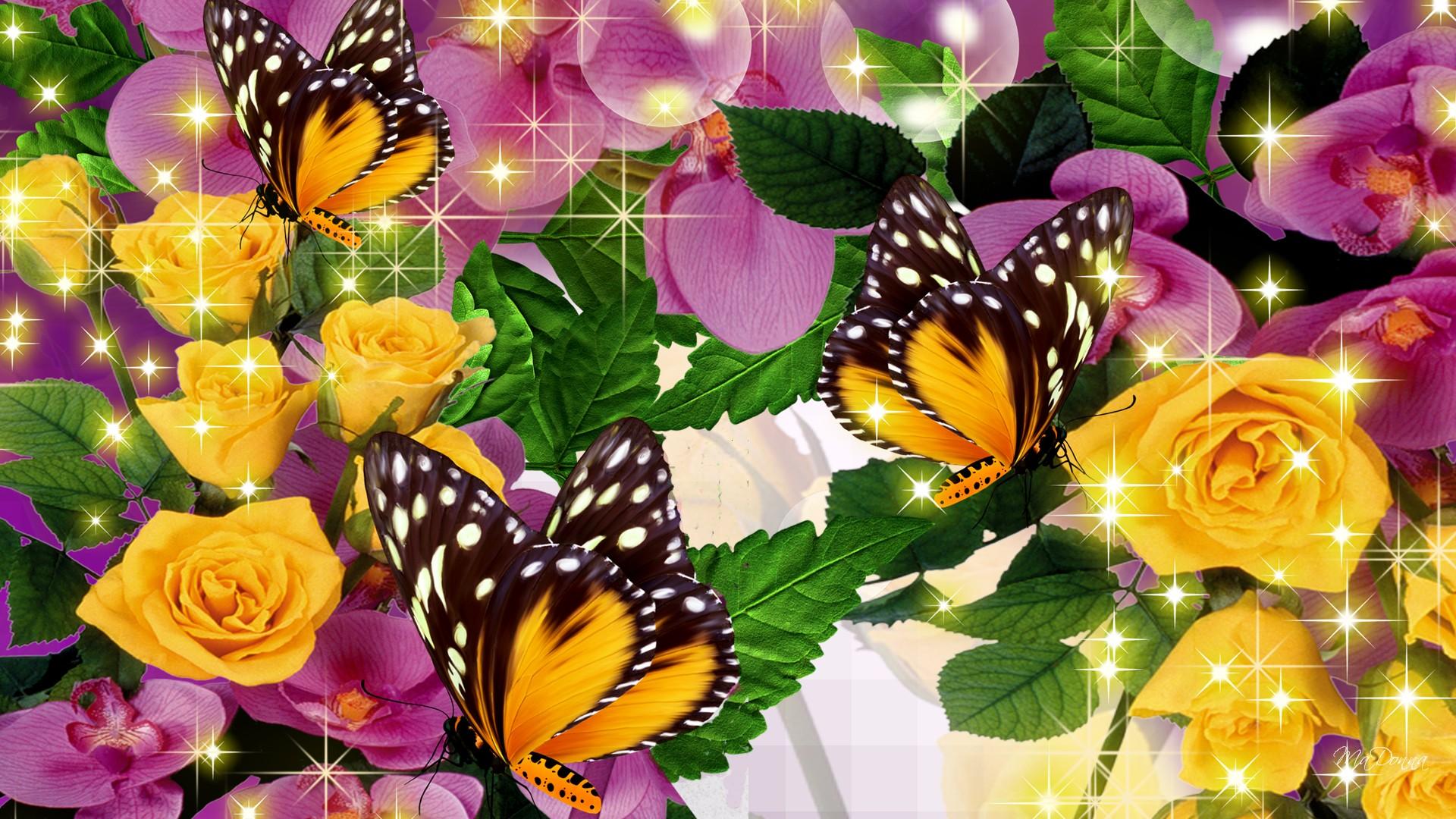 Розы и бабочки картинки красивые