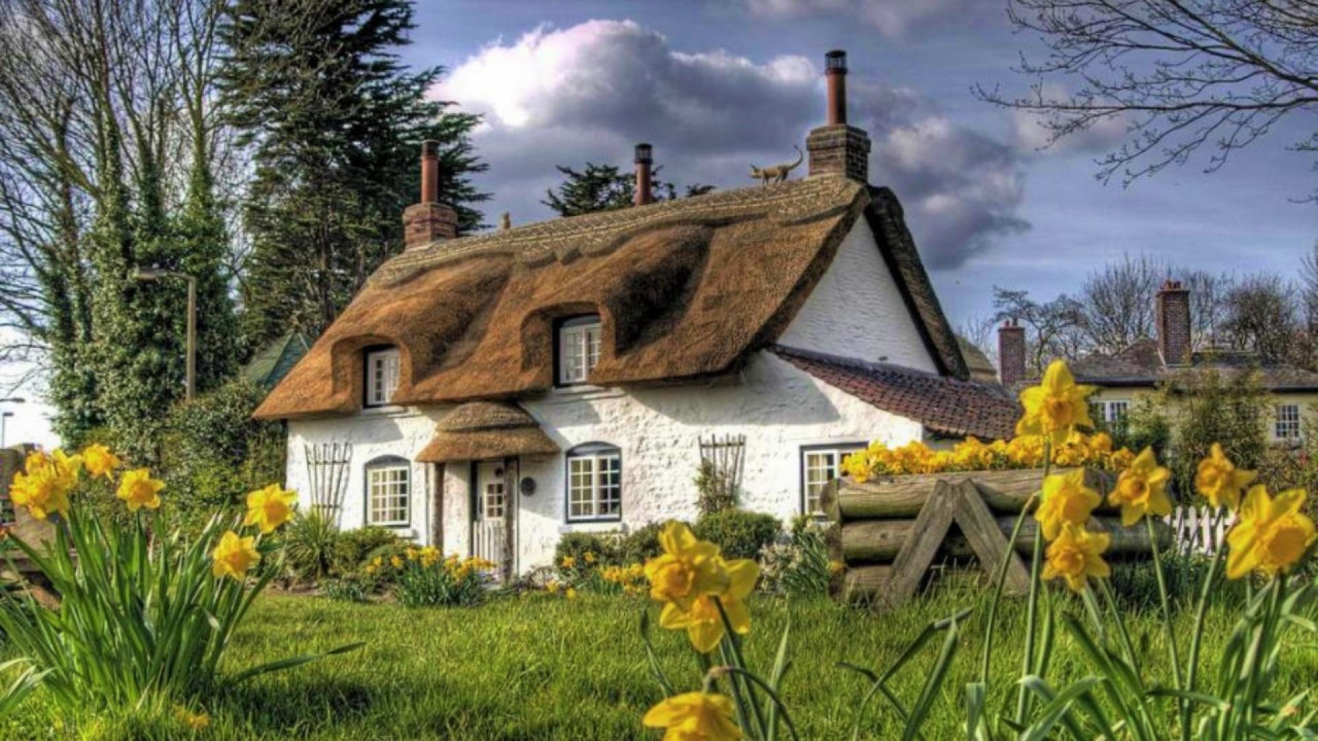 england, man made, cottage, country, flower, house Image for desktop