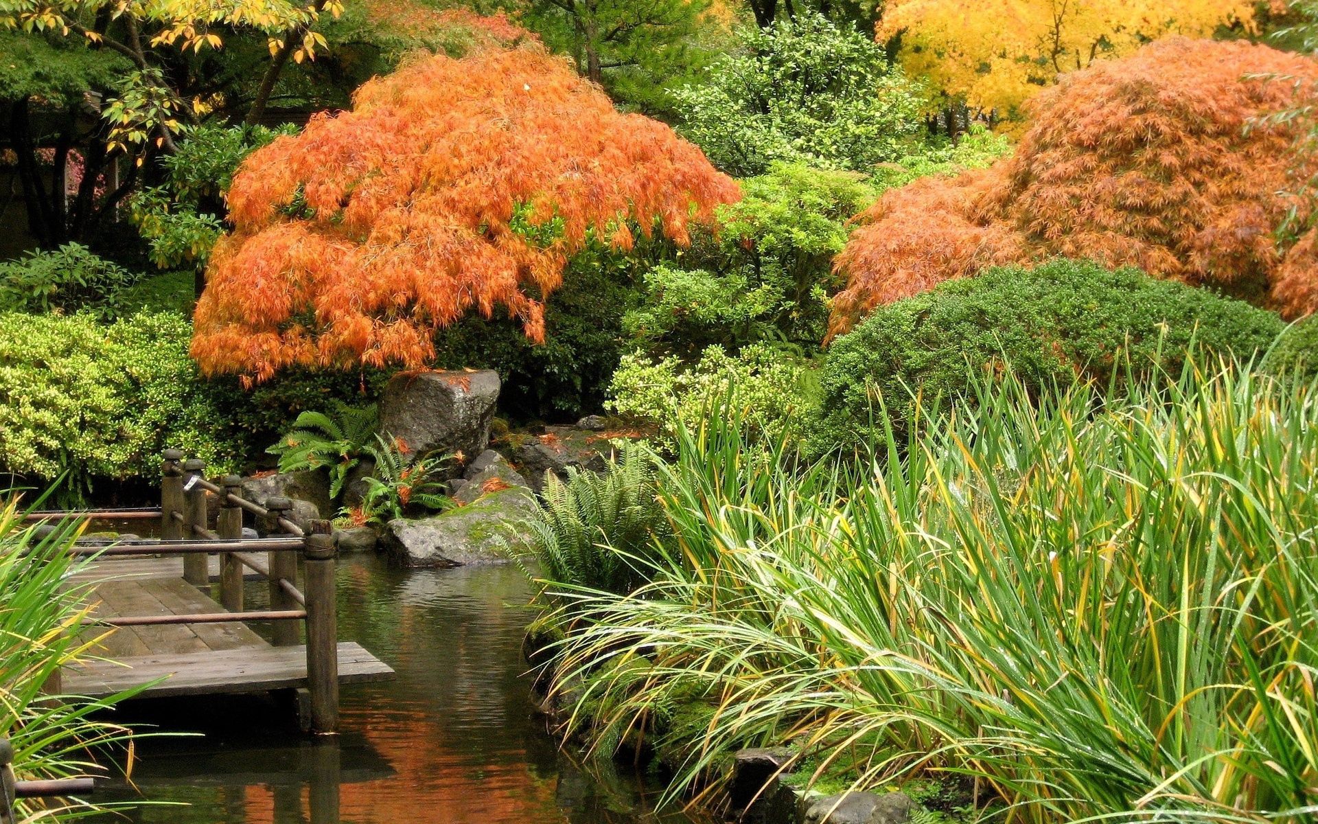 Laden Sie das Herbst, Teich, Bäume, Brücke, Natur-Bild kostenlos auf Ihren PC-Desktop herunter