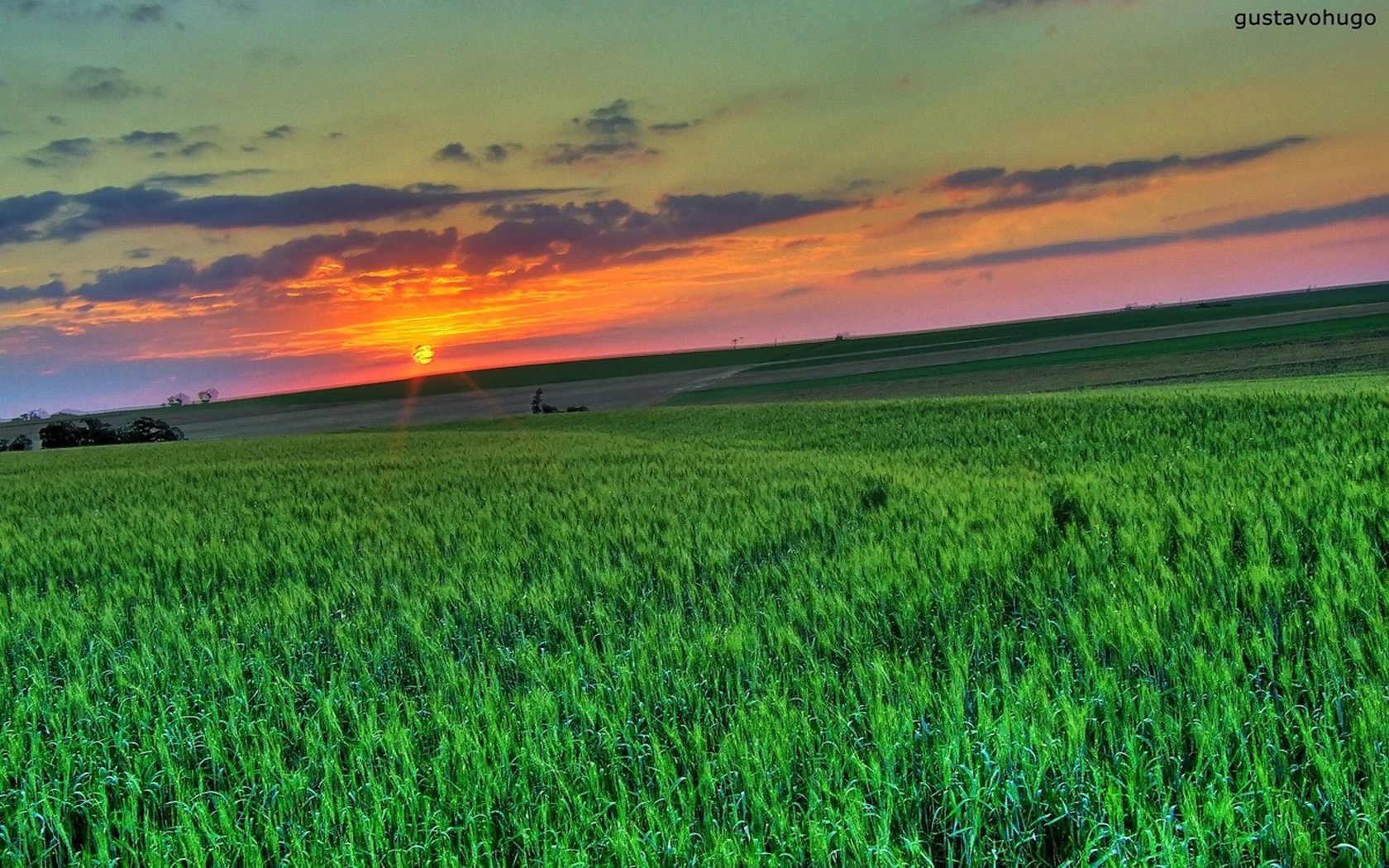 Handy-Wallpaper Sunset, Landschaft, Felder kostenlos herunterladen.