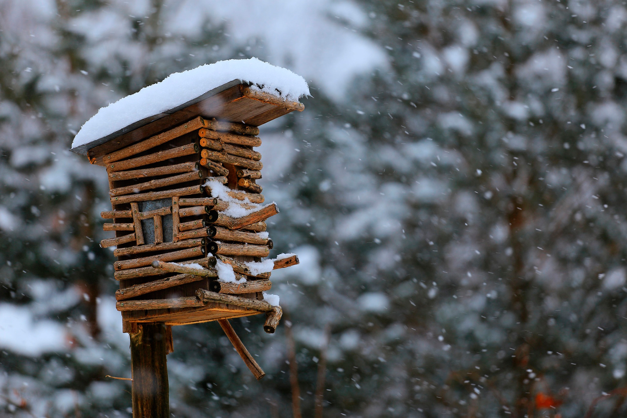 135180 Hintergrundbild herunterladen winter, schnee, verschiedenes, sonstige, schneefall, vogelhaus - Bildschirmschoner und Bilder kostenlos