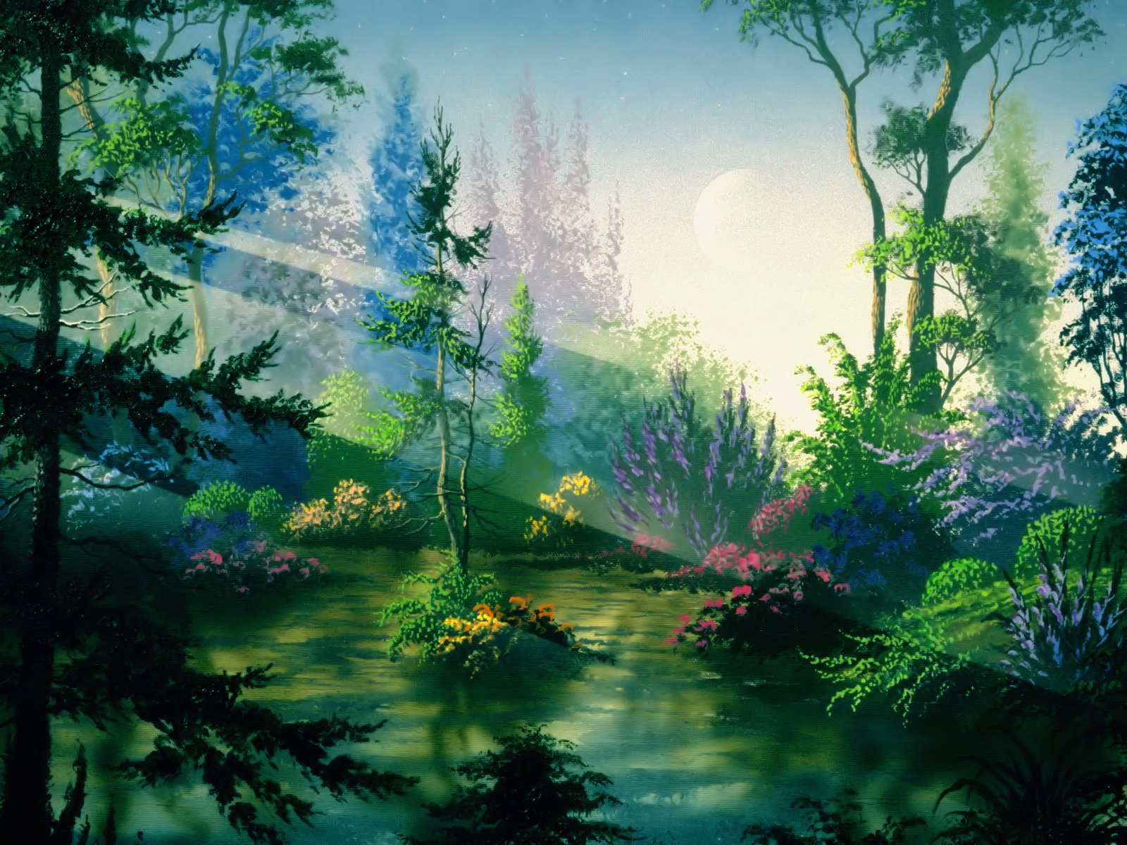 Сказочные пейзажи леса