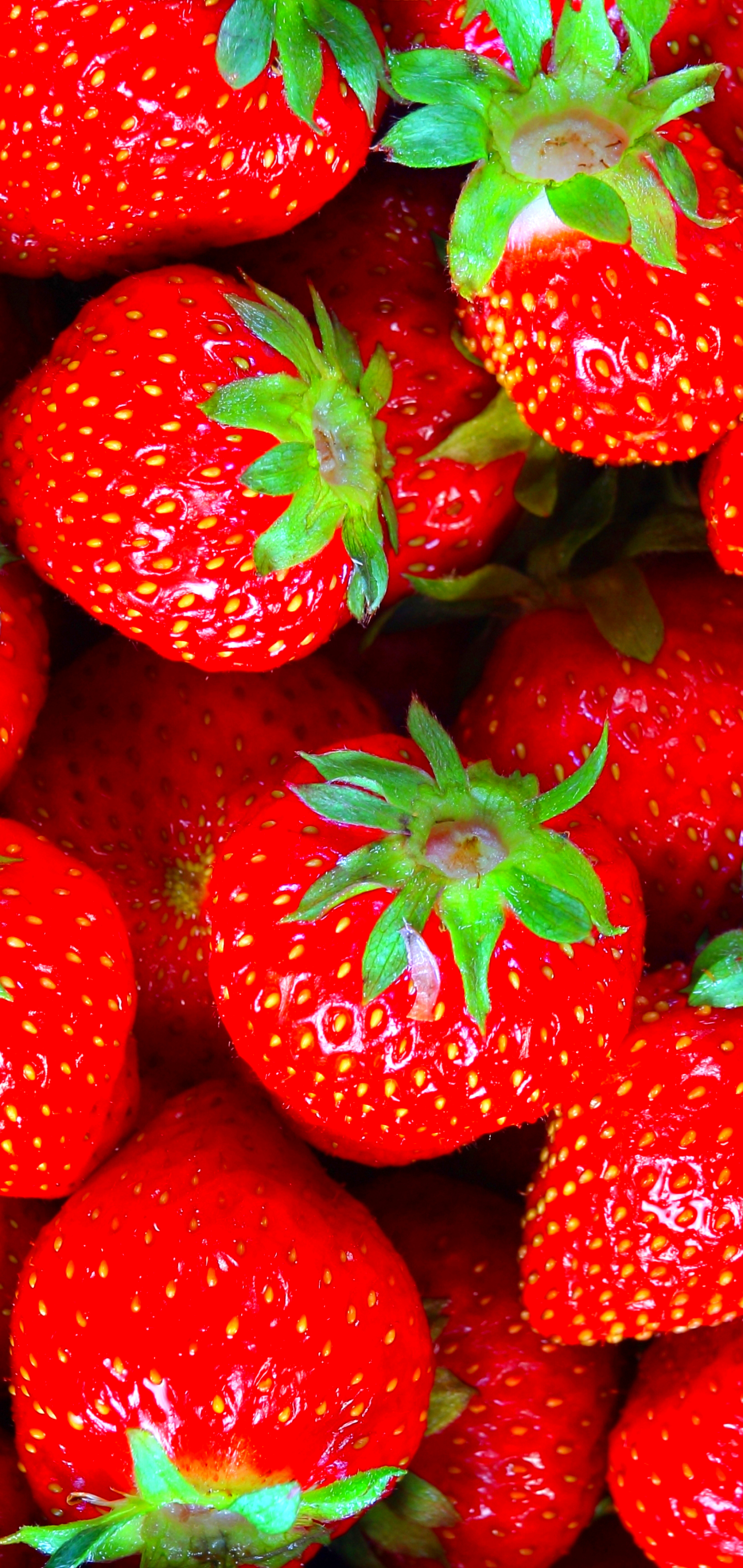 1165909 Hintergrundbild herunterladen nahrungsmittel, erdbeere, obst, frucht, beere, früchte - Bildschirmschoner und Bilder kostenlos