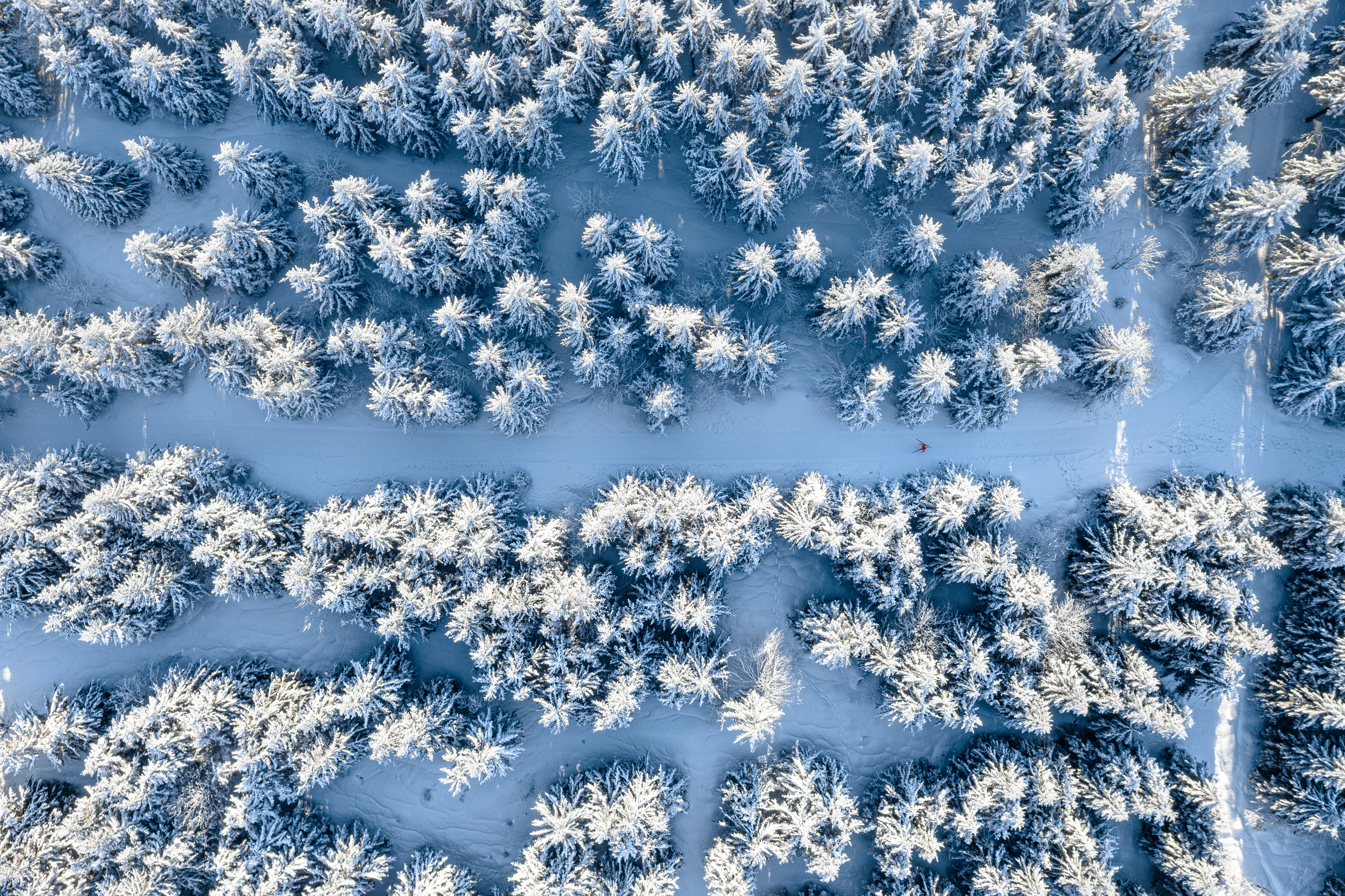Скачать обои бесплатно Вид Сверху, Природа, Снег, Лес, Зима картинка на рабочий стол ПК
