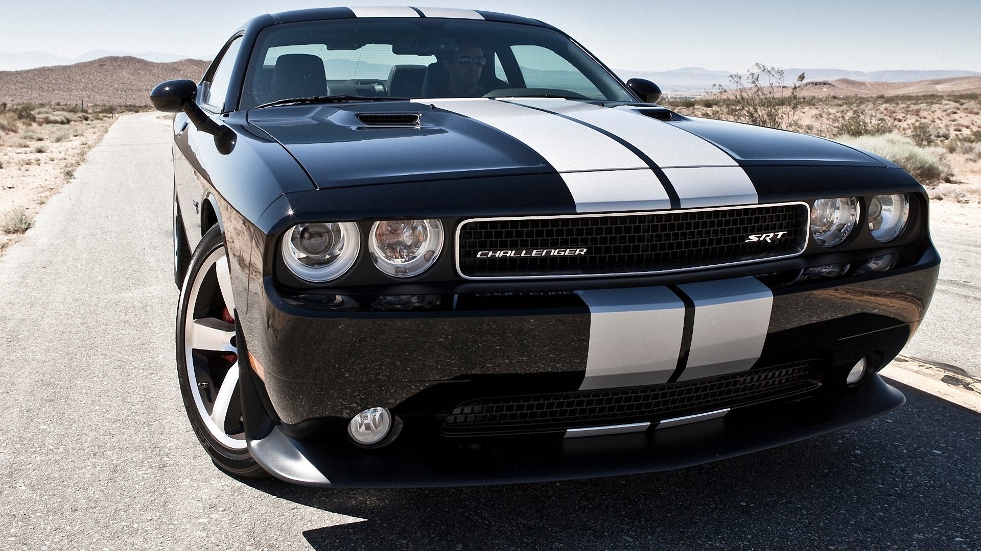 Фото dodge challenger srt