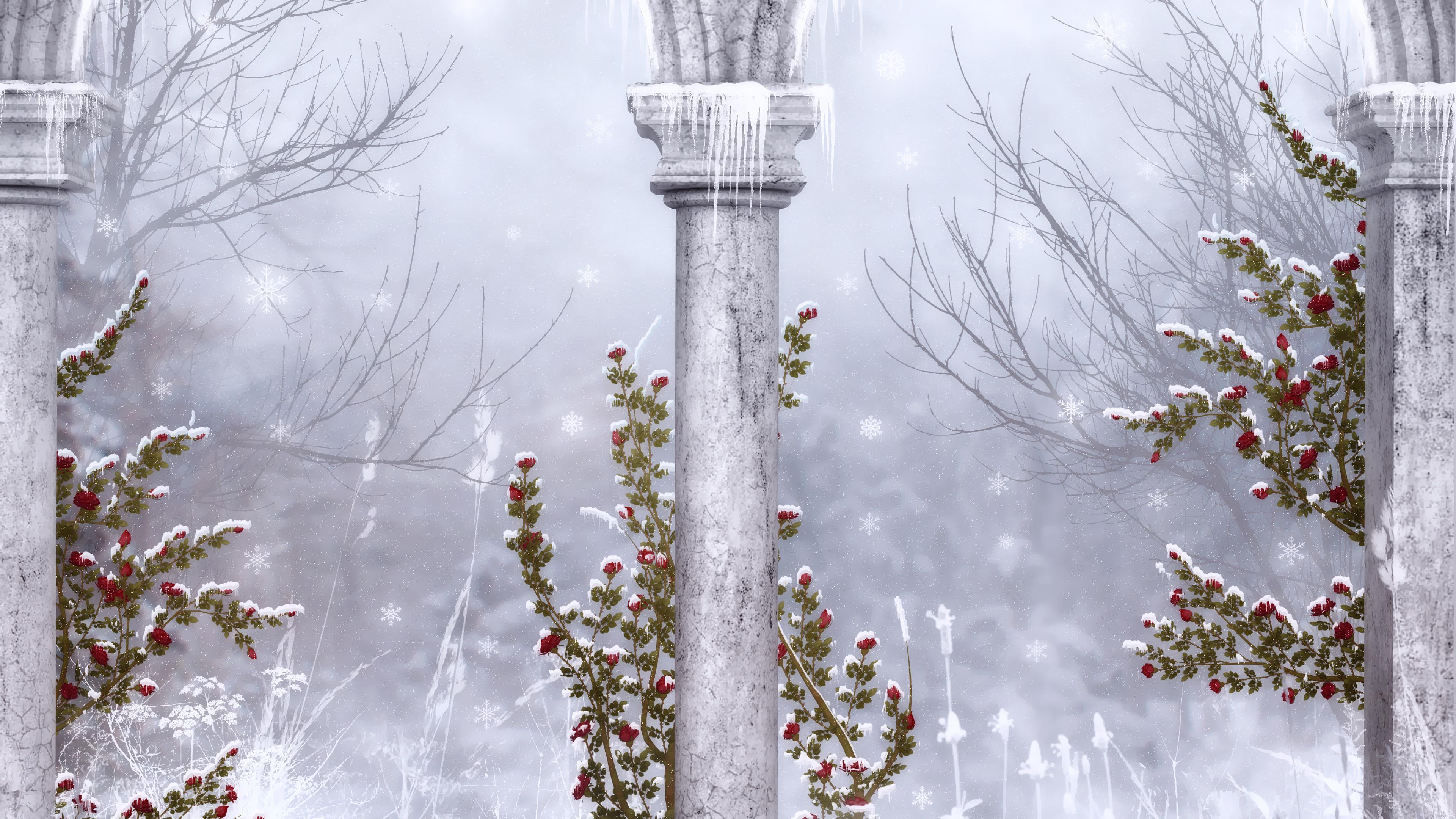 artistic, winter, columns, flower, red flower, rose, white download HD wallpaper