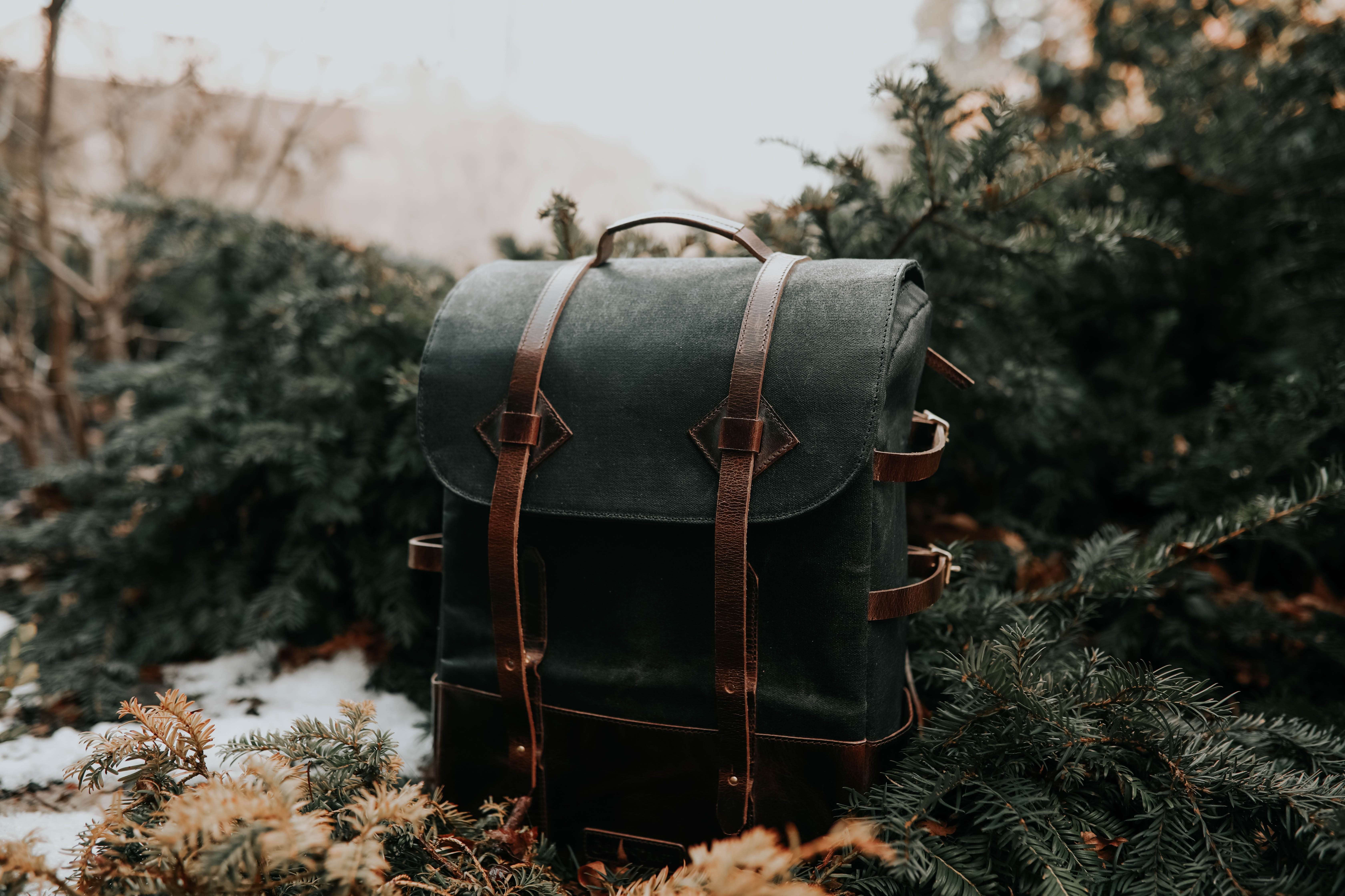 black, miscellanea, miscellaneous, spruce, fir, needles, backpack, rucksack, leather