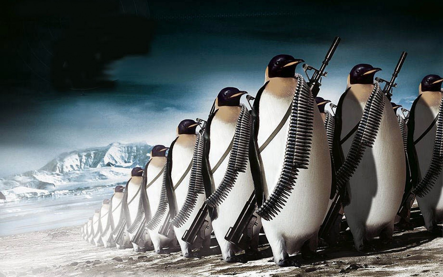Pinguins 1920 x 1080 HD Wallpaper
