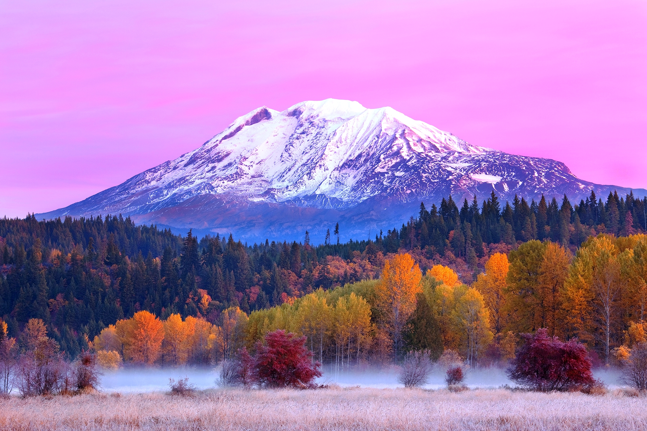 mountains, earth, mountain, fall, forest, mount adams, washington HD for desktop 1080p