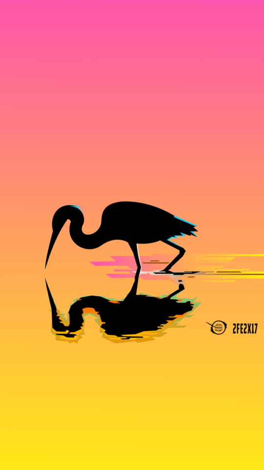 animal, ibis, reflection, bird, water, colorful, minimalist, birds