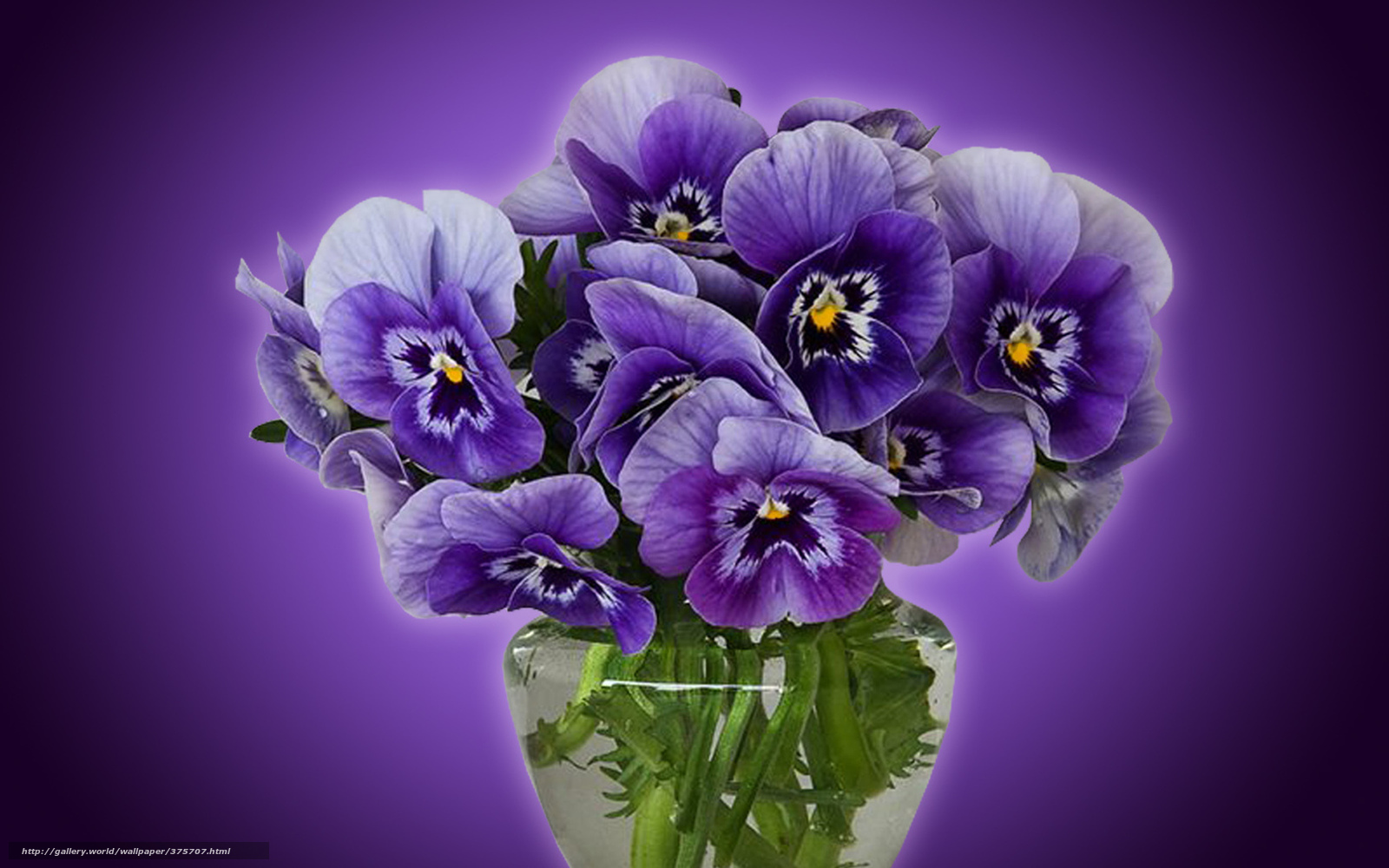 1501383 descargar imagen hecho por el hombre, flor, pensamiento, flor purpura, jarrón: fondos de pantalla y protectores de pantalla gratis
