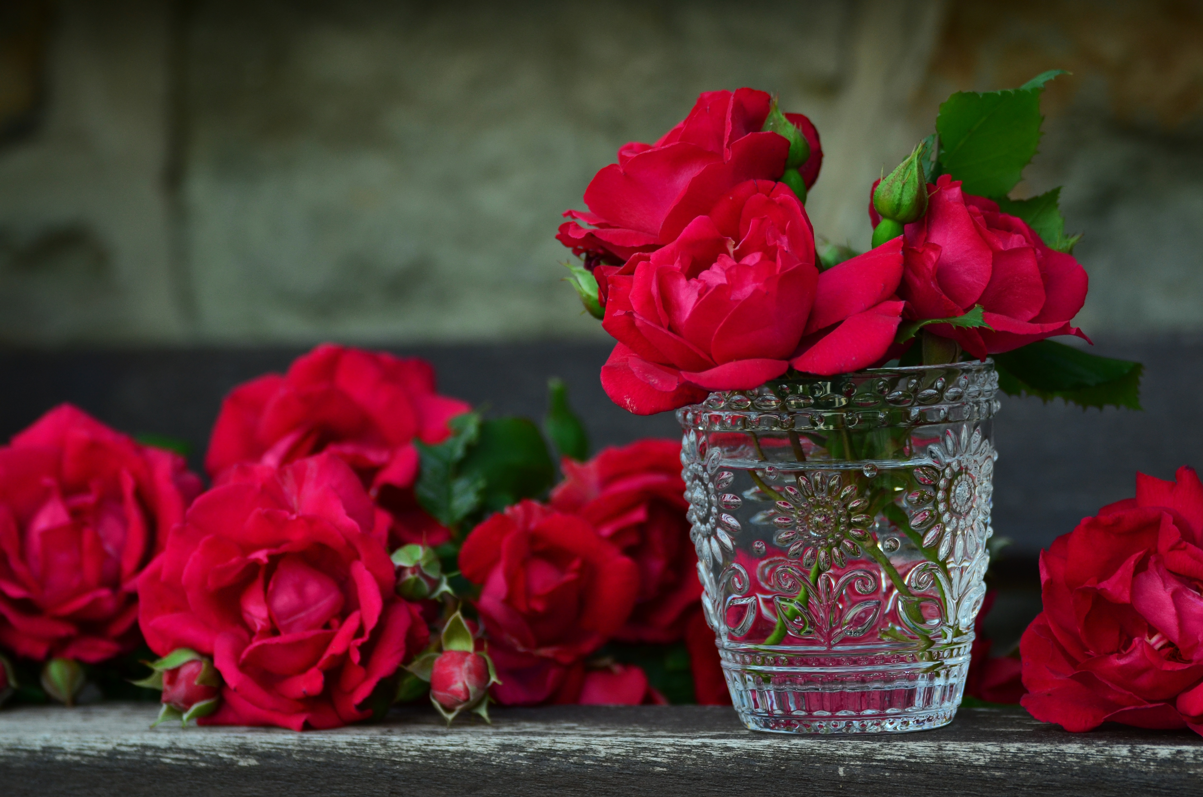 Download mobile wallpaper Vase, Petals, Bouquet, Flowers, Roses for free.
