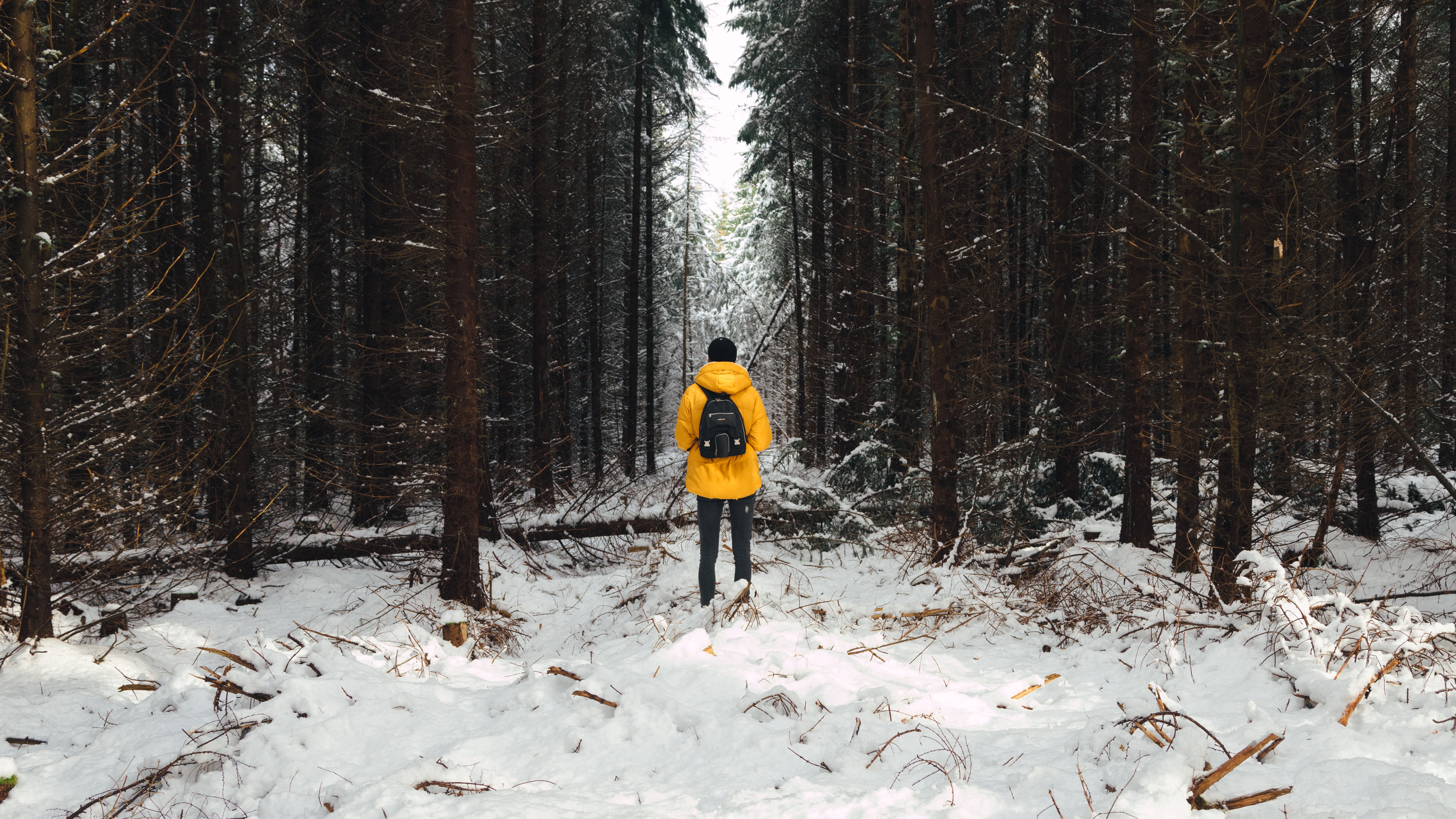 Download mobile wallpaper Winter, Forest, Snow, Trees, Human, Person, Nature for free.
