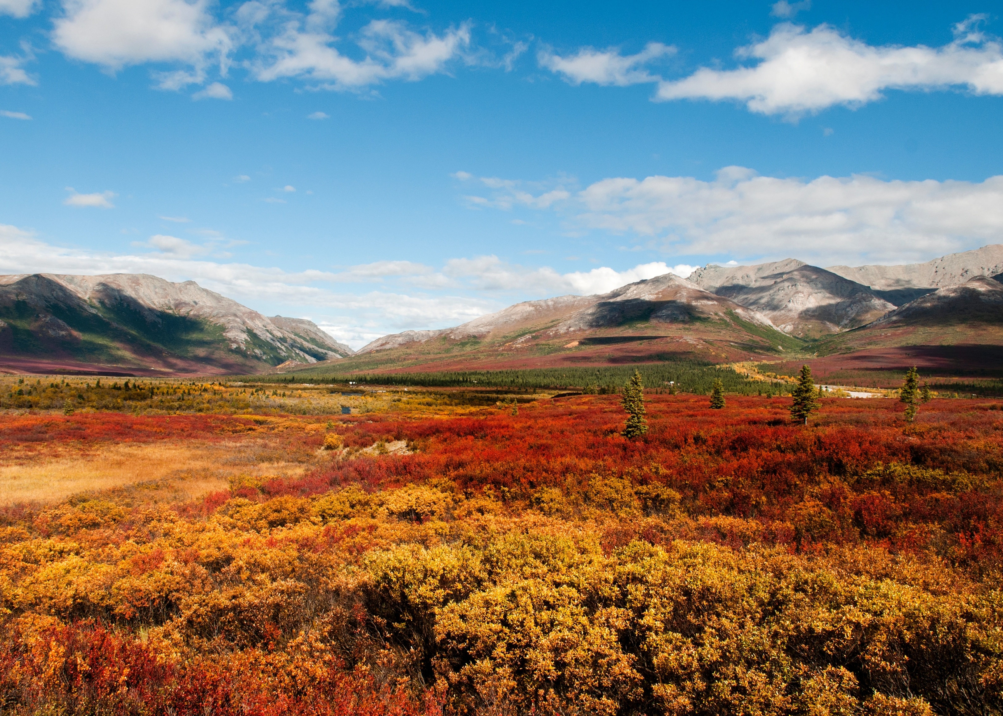 960130 Hintergrundbild herunterladen erde/natur, landschaft, alaska, herbst, gebirge, nationalpark, natur - Bildschirmschoner und Bilder kostenlos