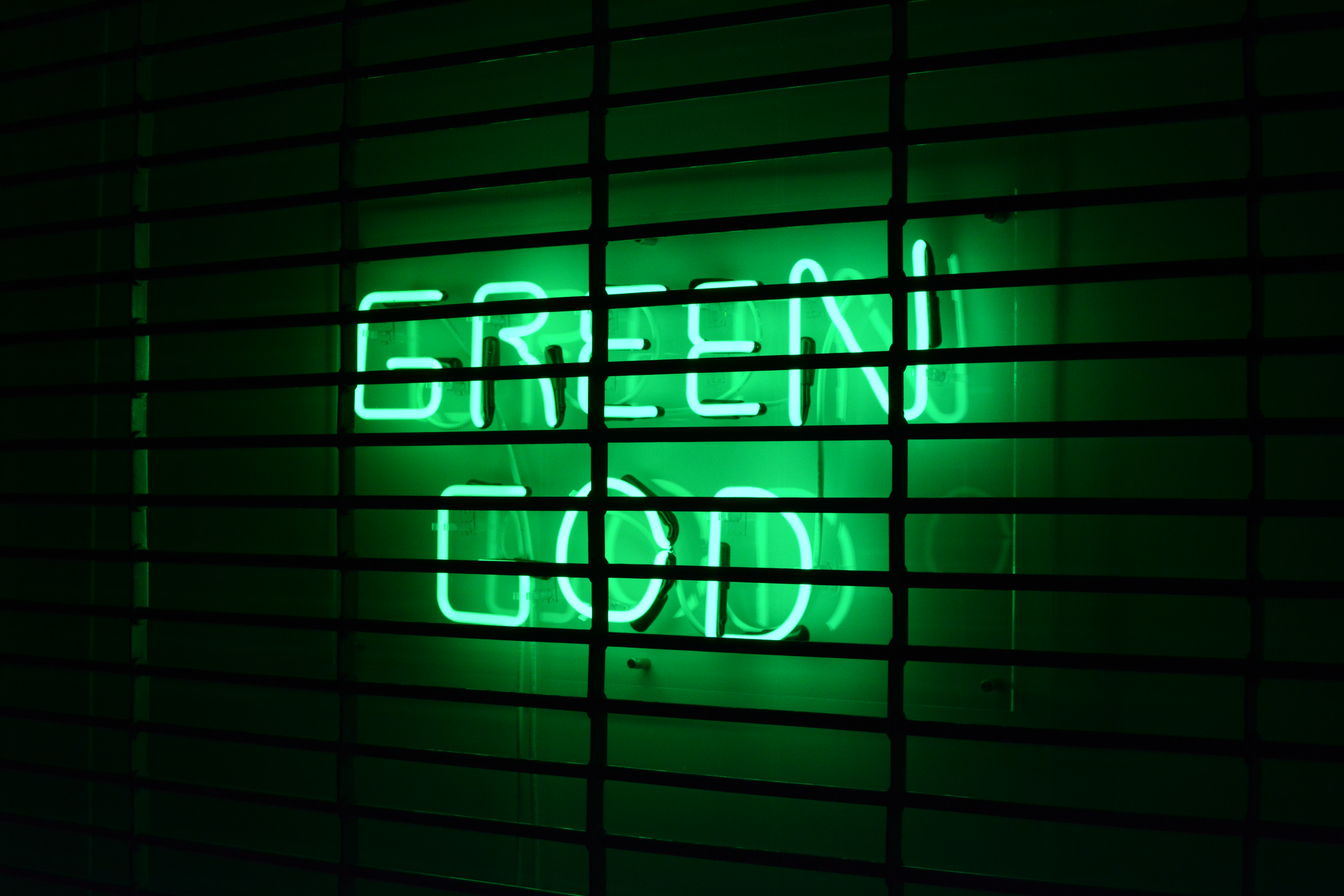 neon, words, green, wall, inscription, lattice, trellis