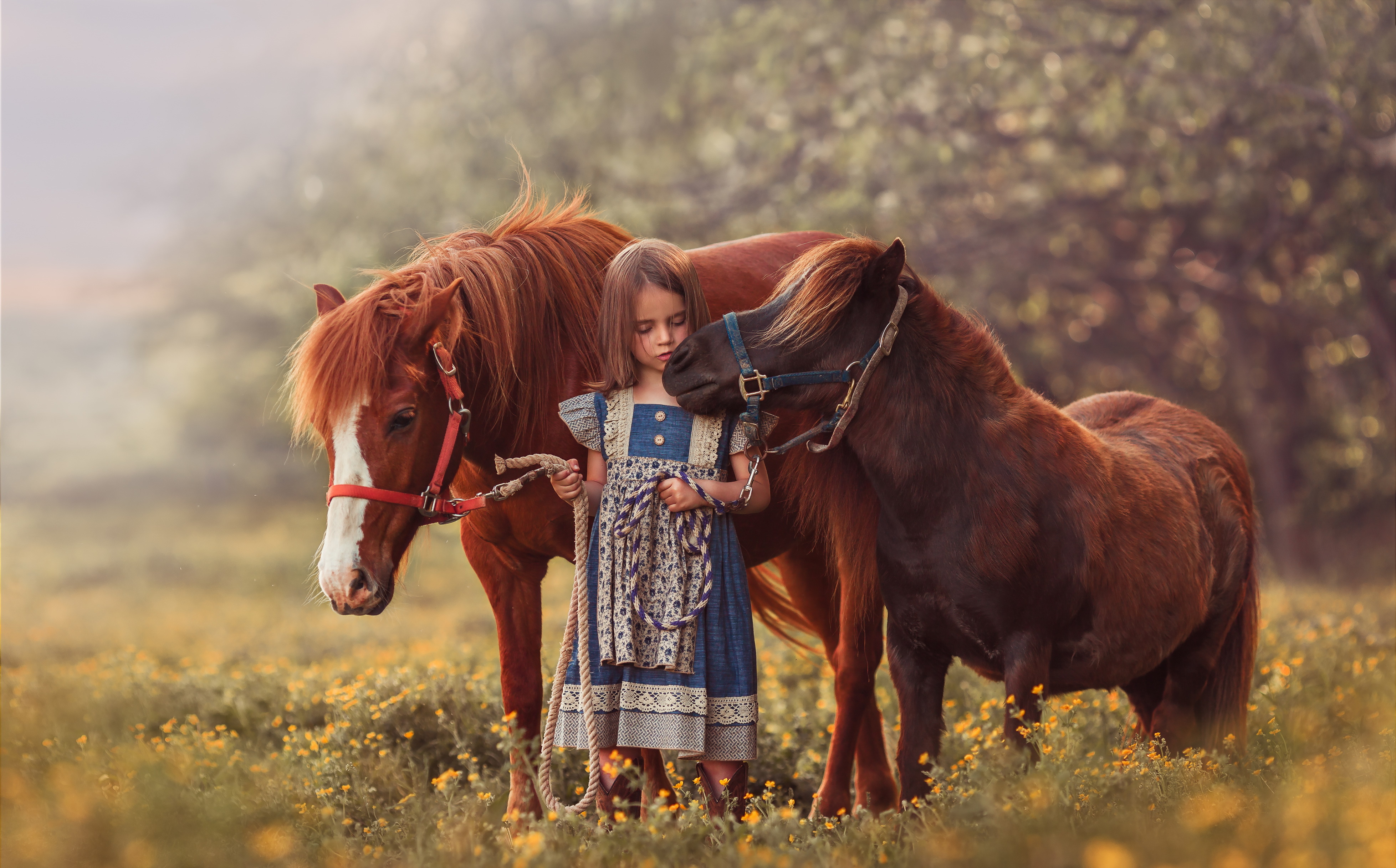 little girl, photography, child, blur, pony