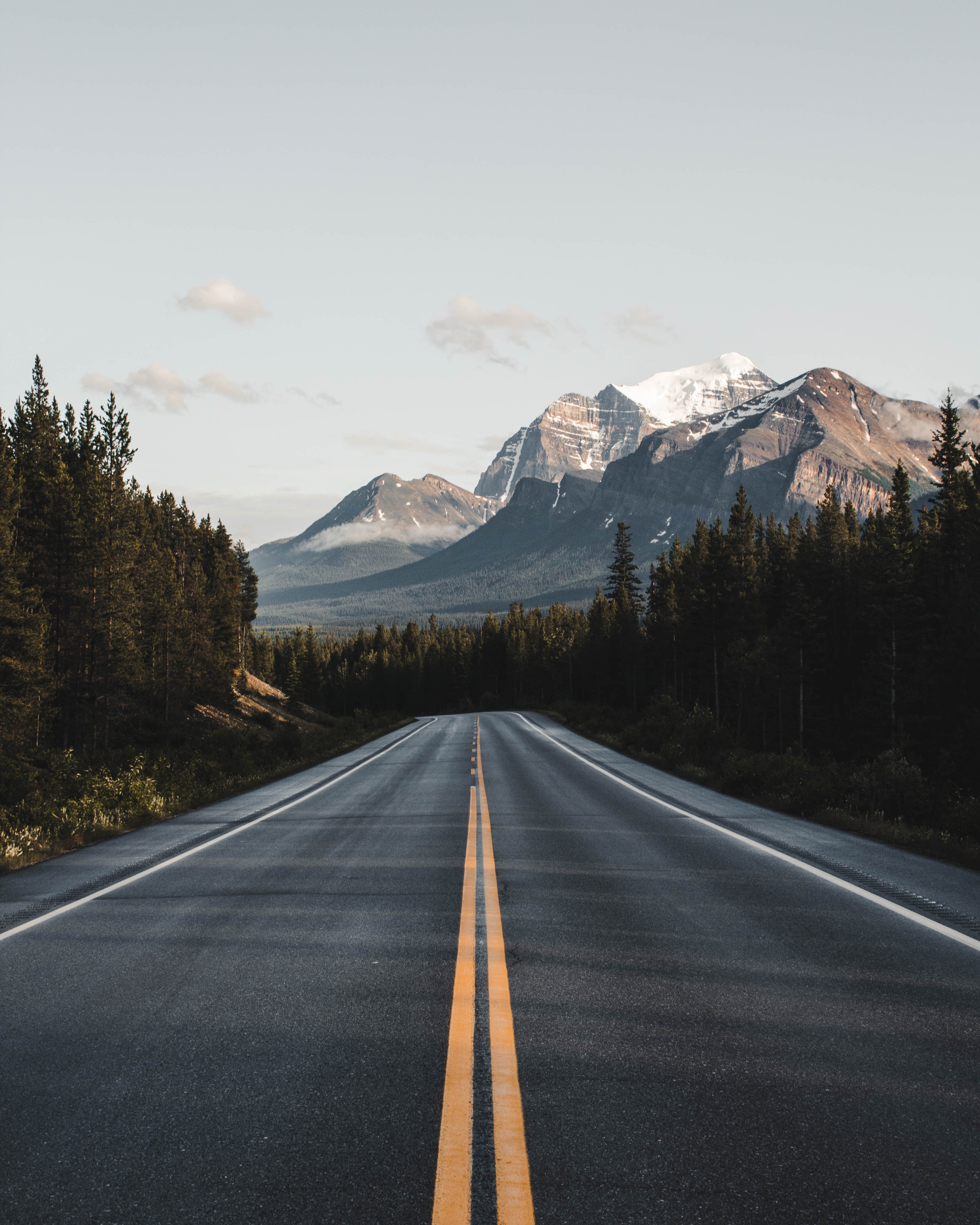 asphalt, landscape, road, mountains, forest, nature phone background