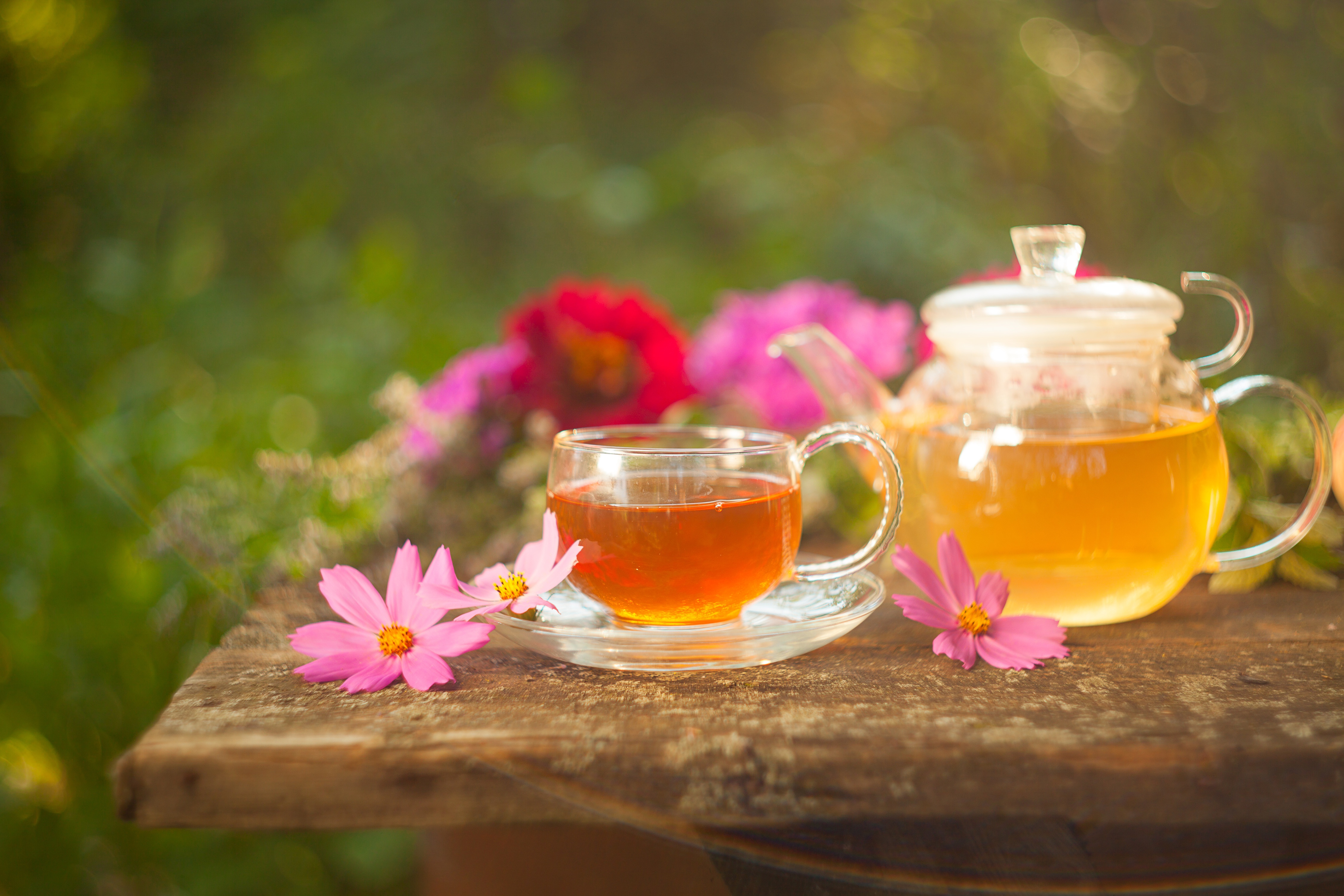 food, tea, cup, drink, flower, kettle, still life wallpapers for tablet
